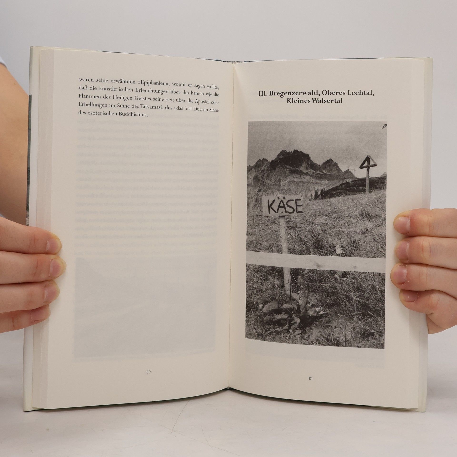 Barbara Higgs Literarische Reisen durch Vorarlberg