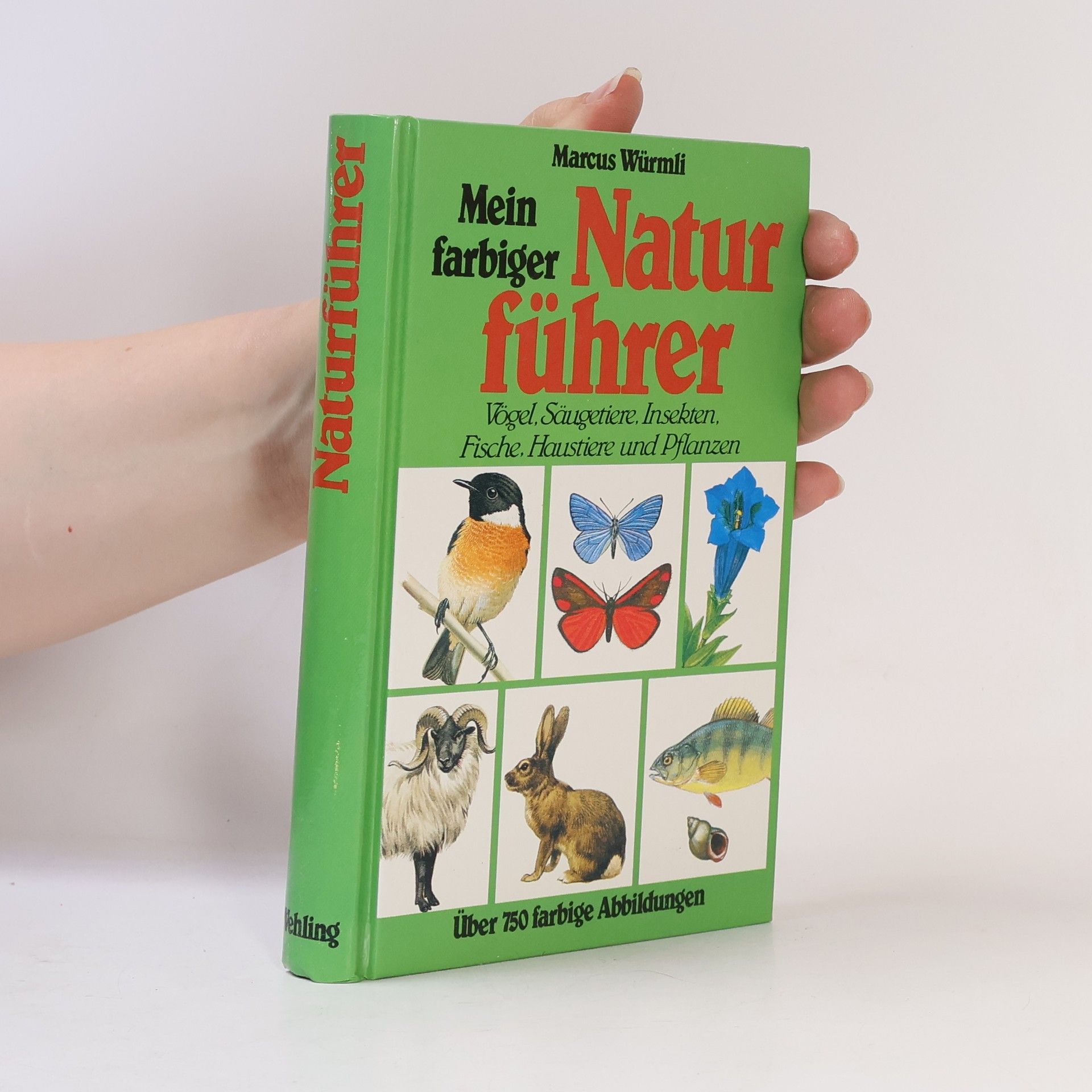 Marcus Würmli Mein farbiger Naturführer