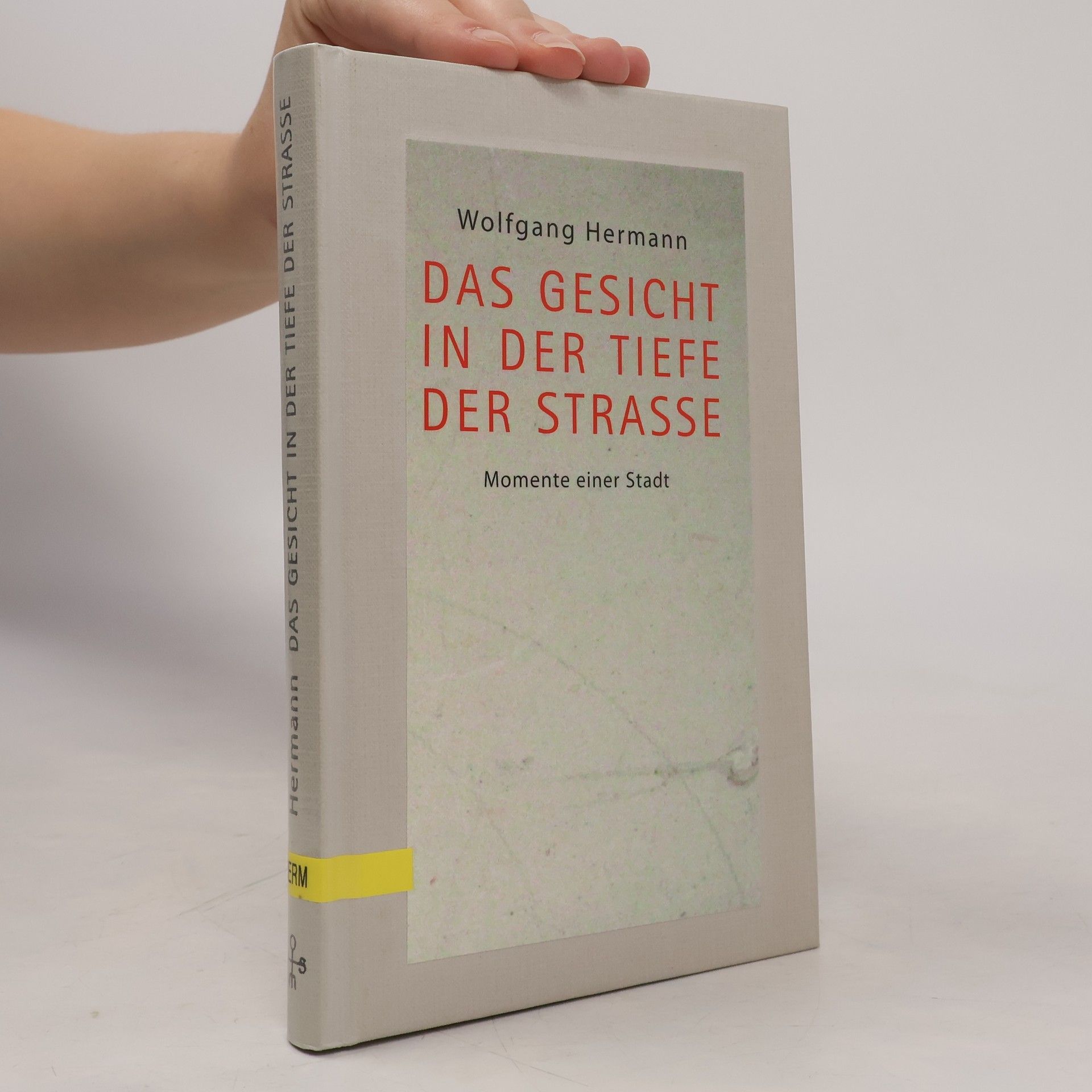 Wolfgang Hermann Das Gesicht in der Tiefe der Straße