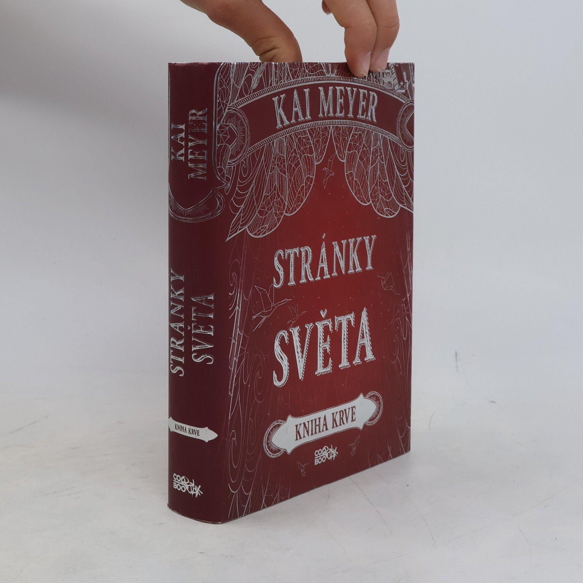 Kai Meyer Stránky světa: Kniha krve