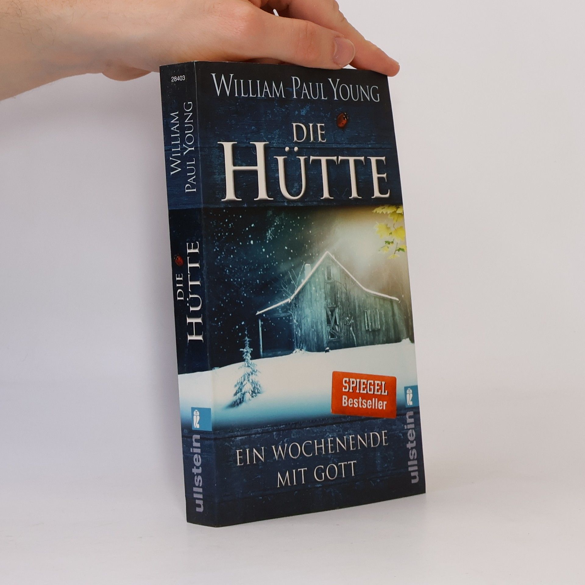 William P. Young Die Hütte