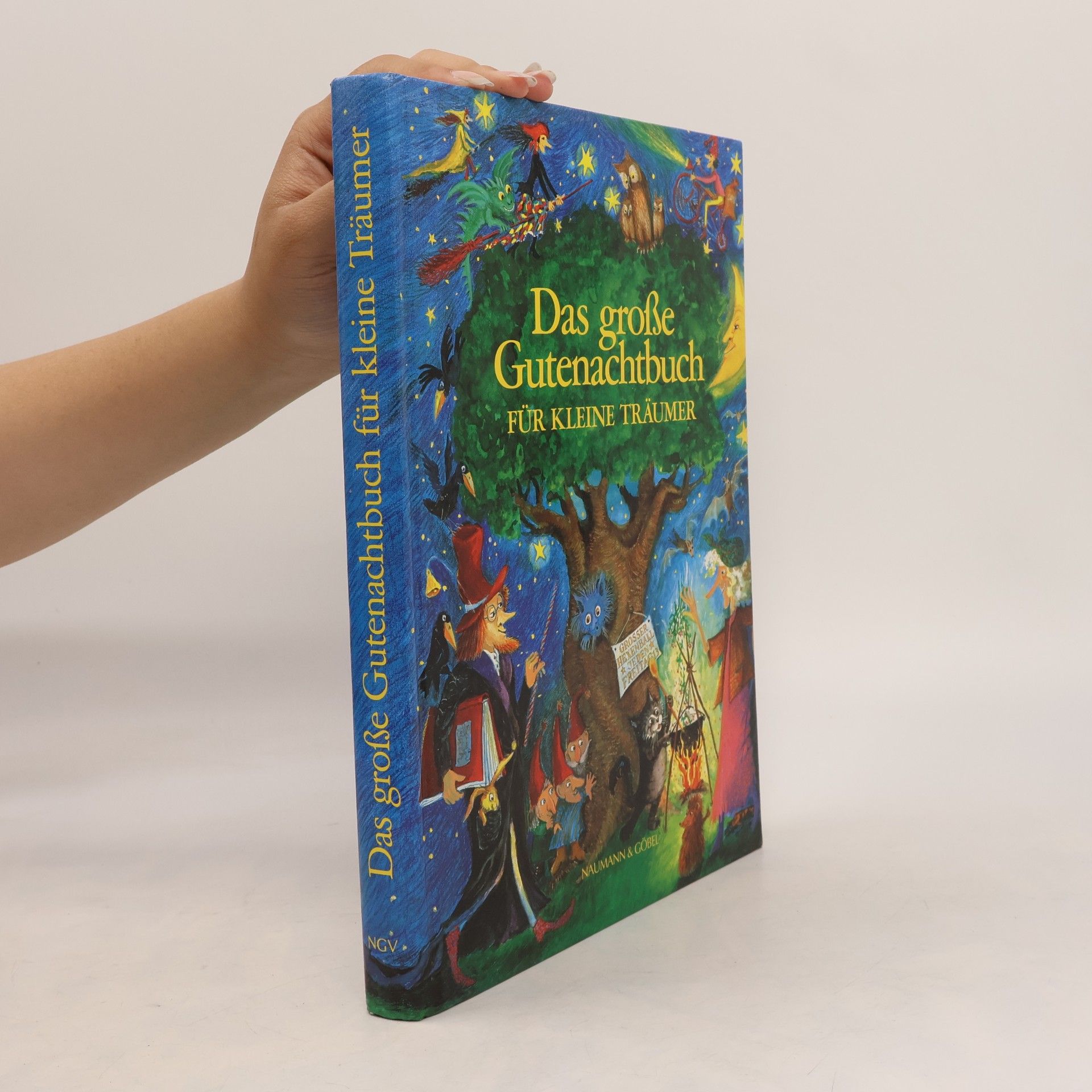 Das grosse Gutenachtbuch für kleine Träumer