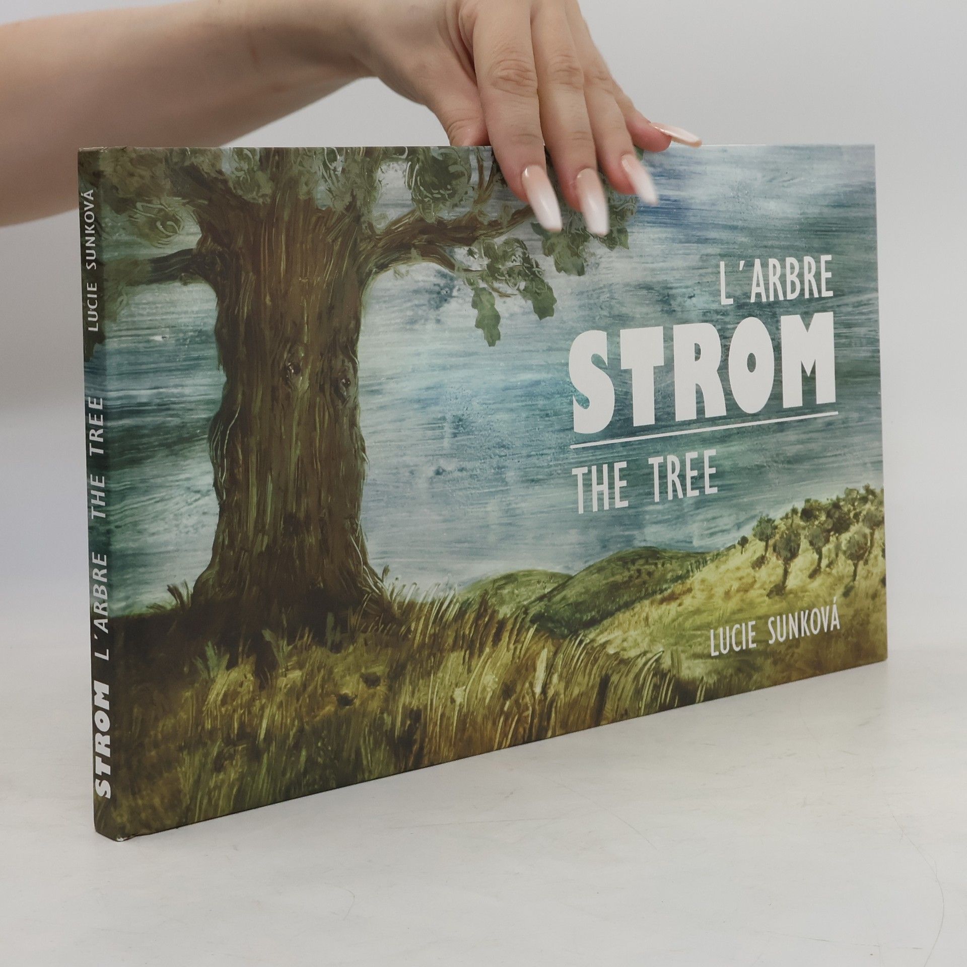 Auteurscollectief Strom