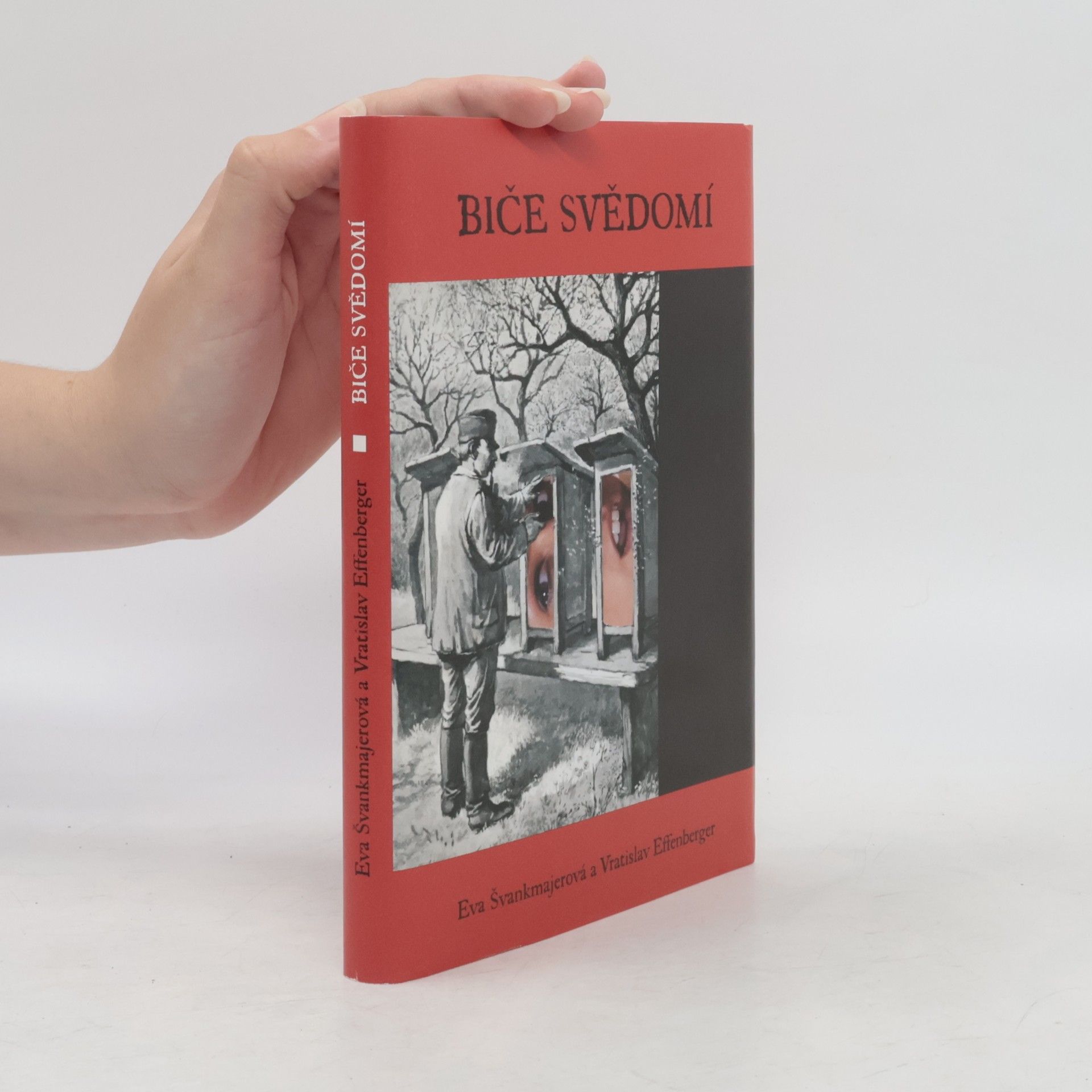Eva Švankmajerová Biče svědomí
