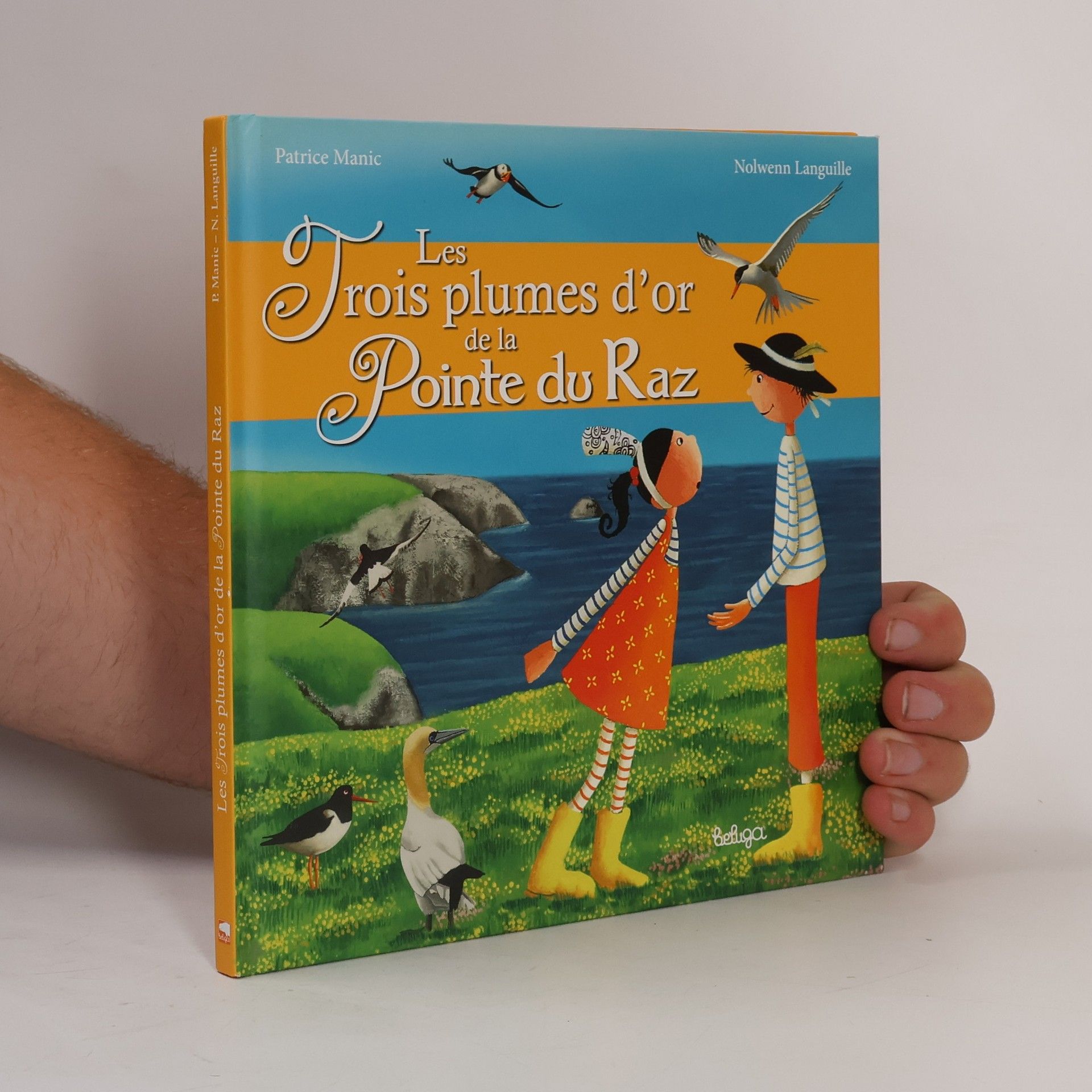 Nolwenn Languille Les trois plumes d'or de la Pointe du Raz