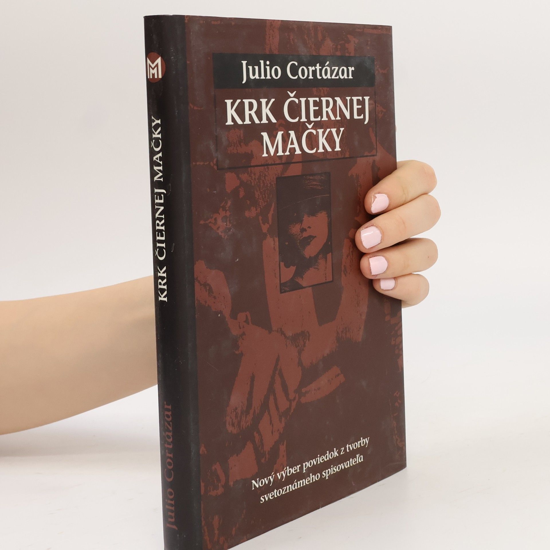Julio Cortázar Krk čiernej mačky