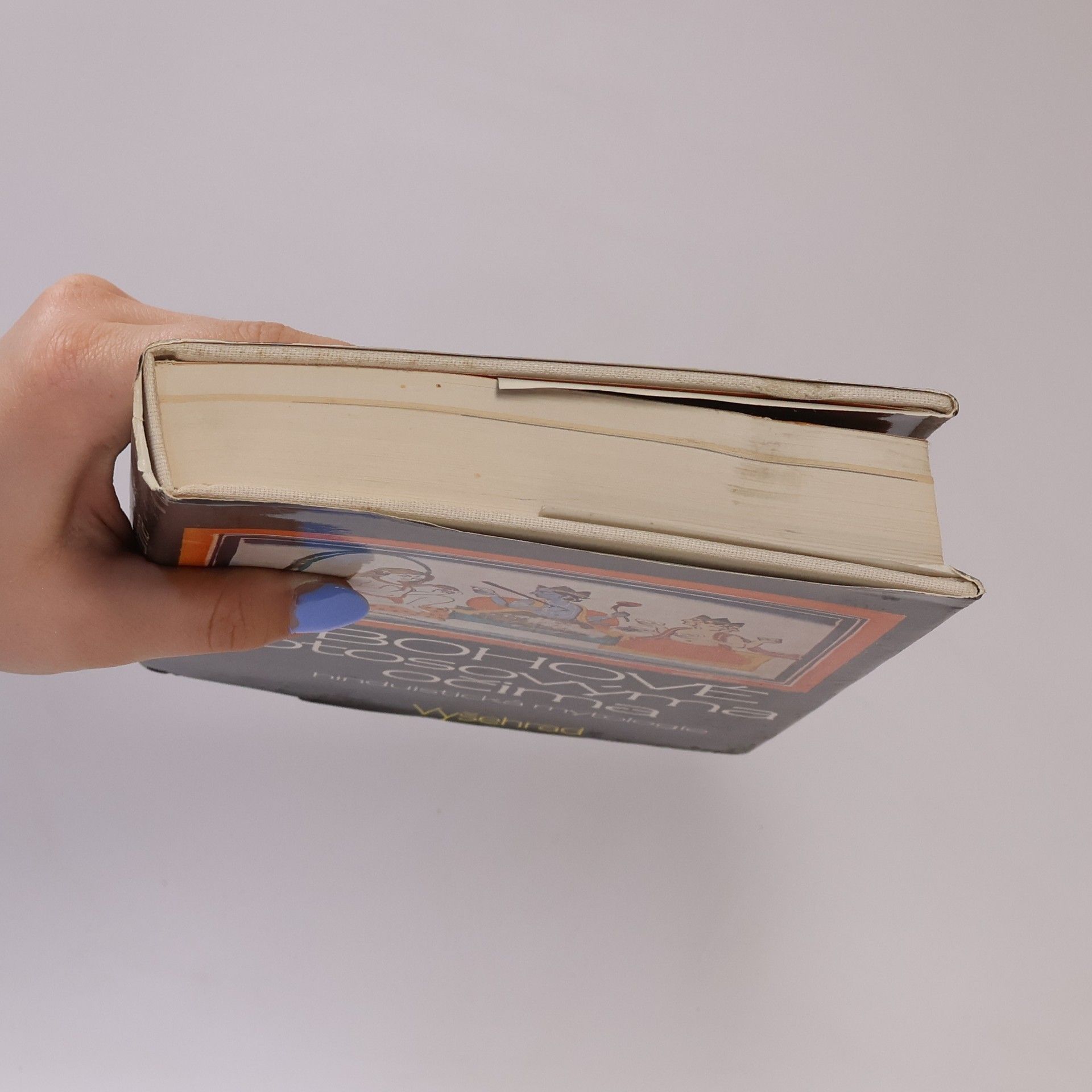 Autores varios Bohové s lotosovýma očima