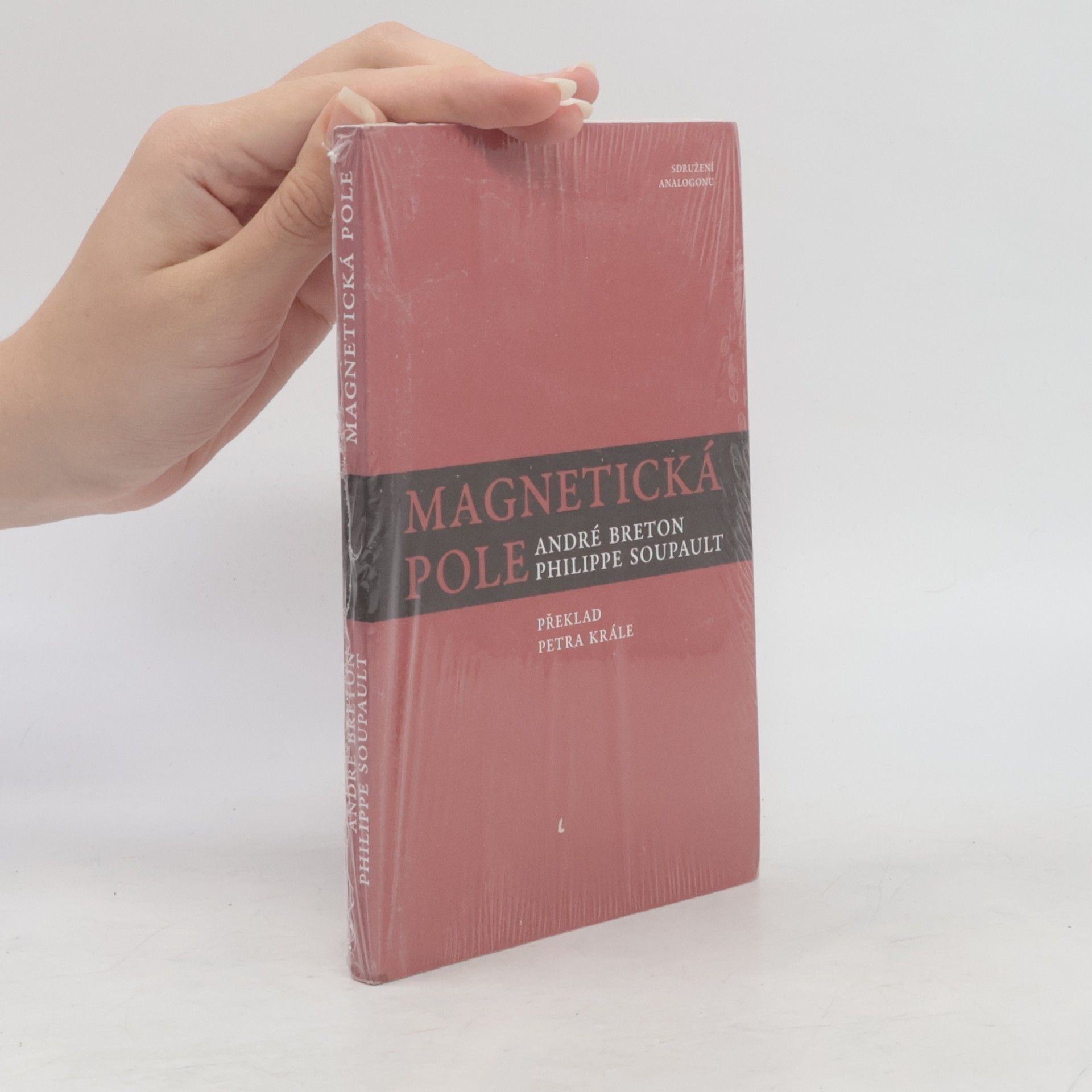 André Breton Magnetická pole