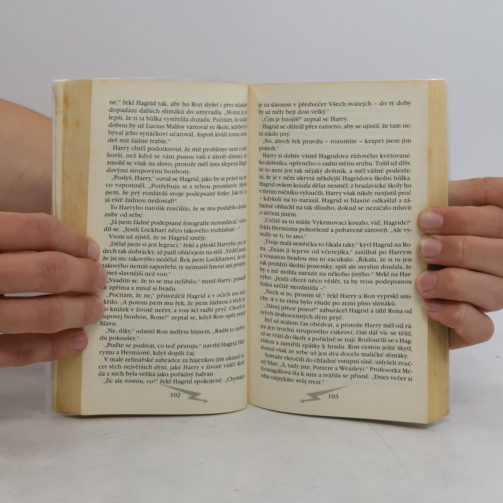 J. K. Rowling Harry Potter a tajemná komnata