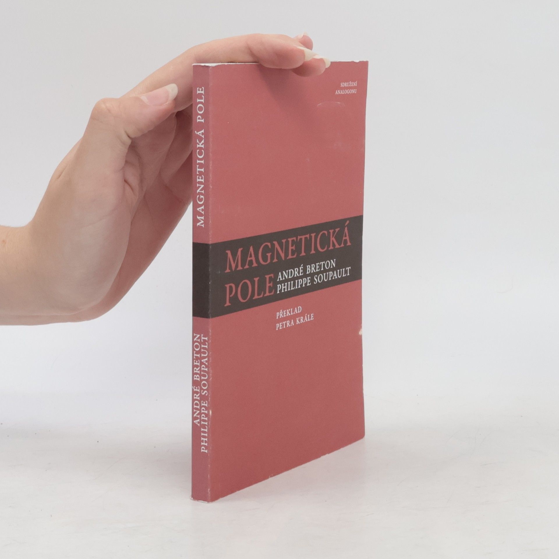 André Breton Magnetická pole