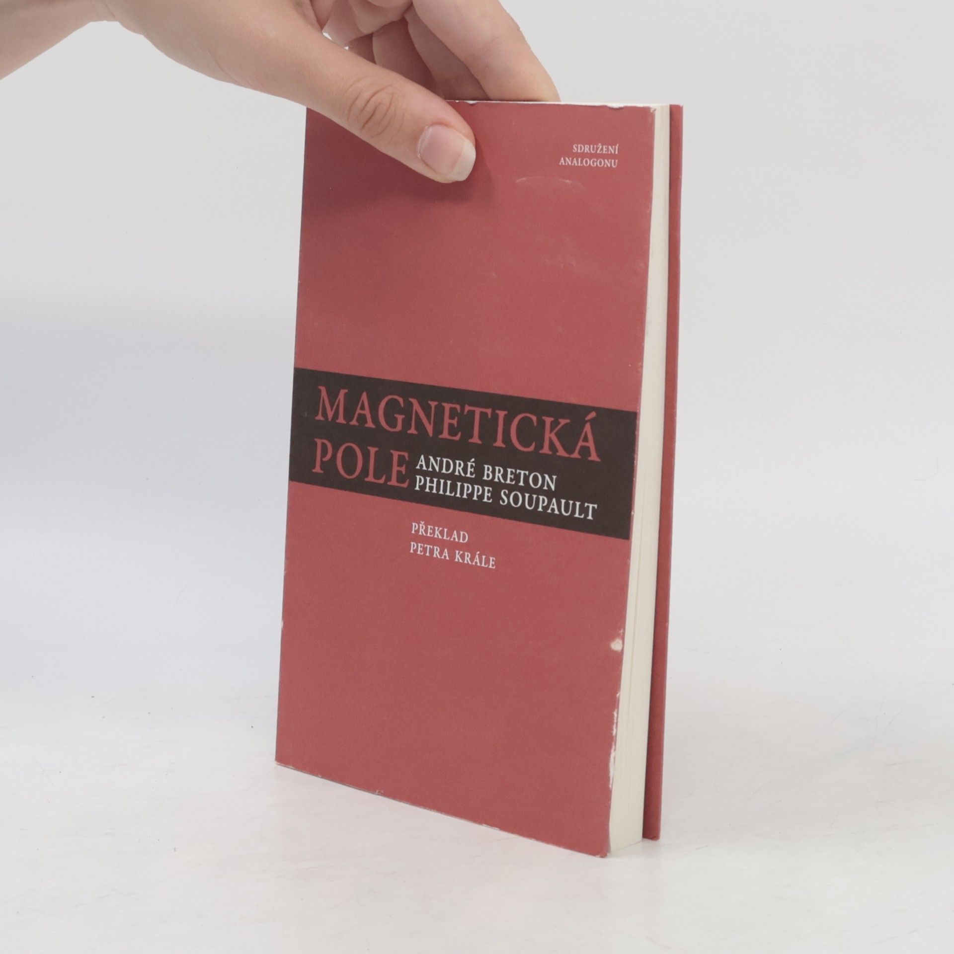 André Breton Magnetická pole
