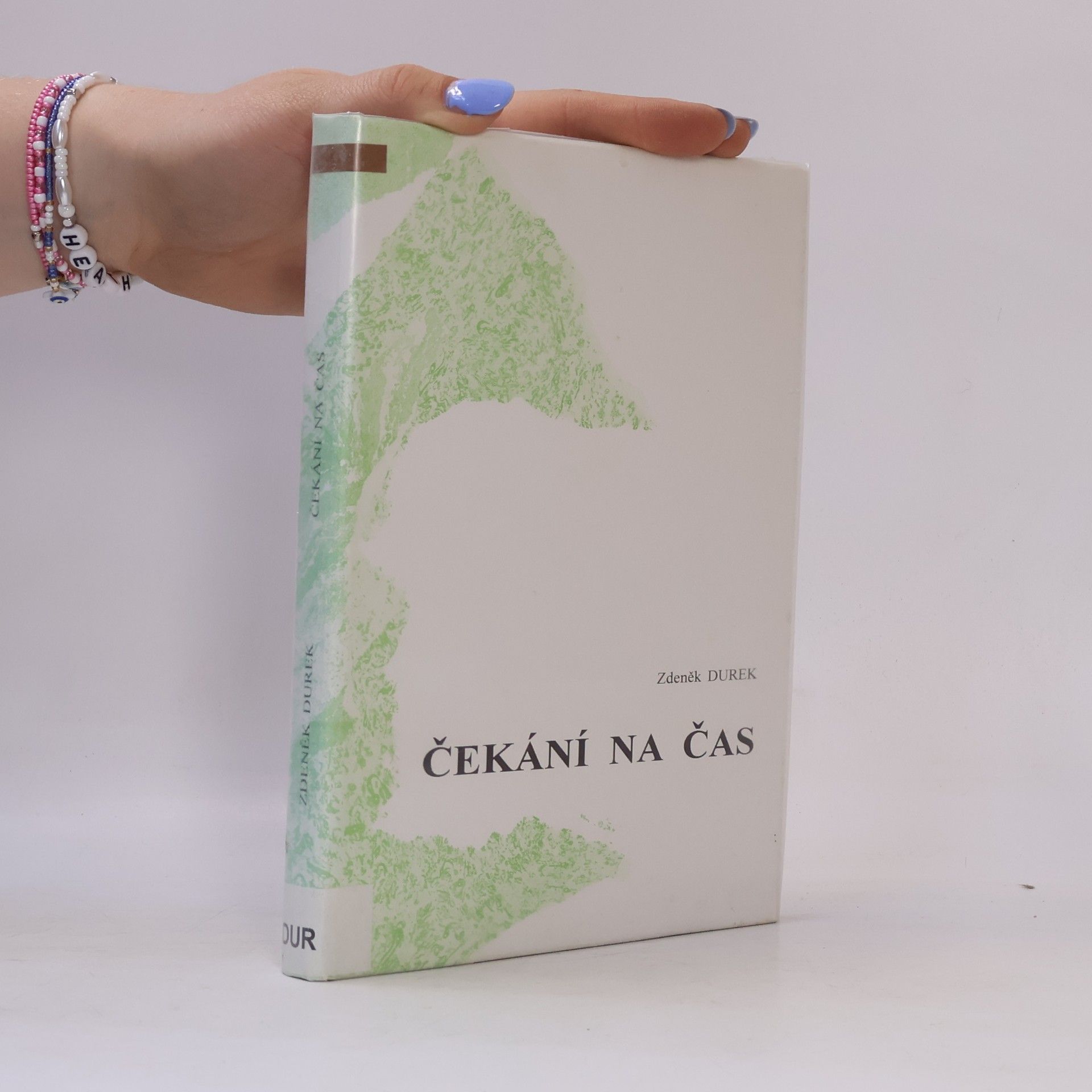 Zdeněk Durek Čekání na čas