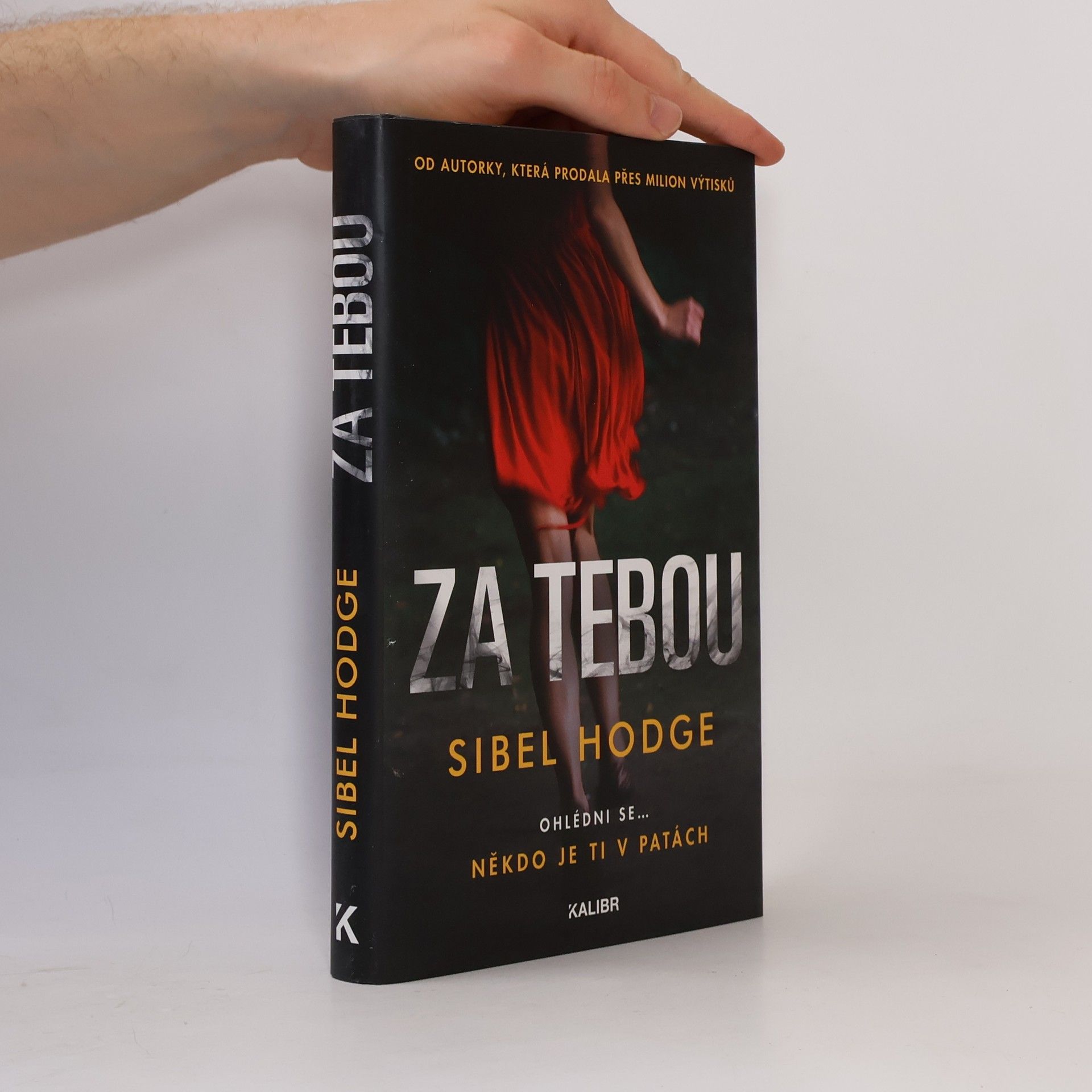 Sibel Hodge Za tebou