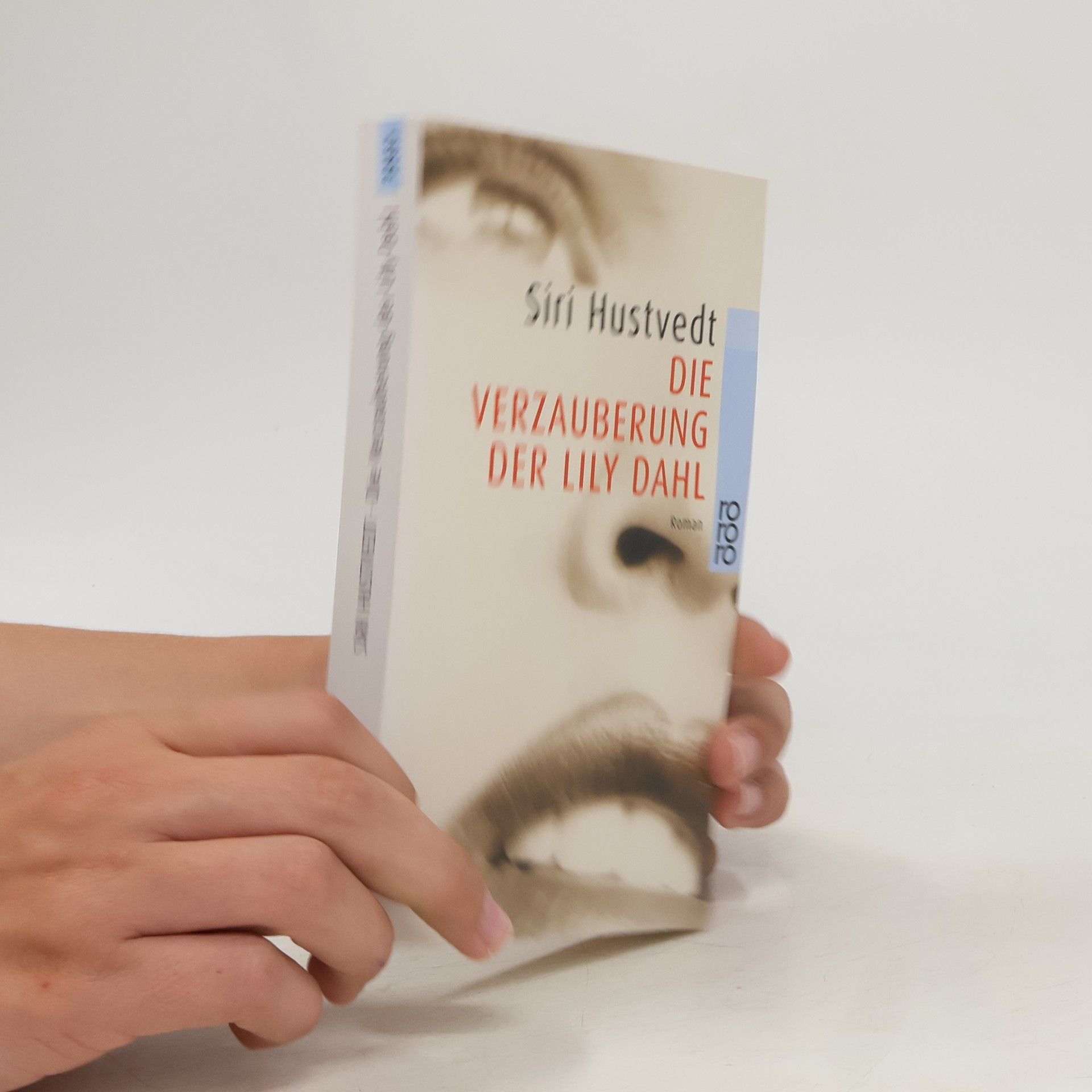 Siri Hustvedt Die Verzauberung der Lily Dahl
