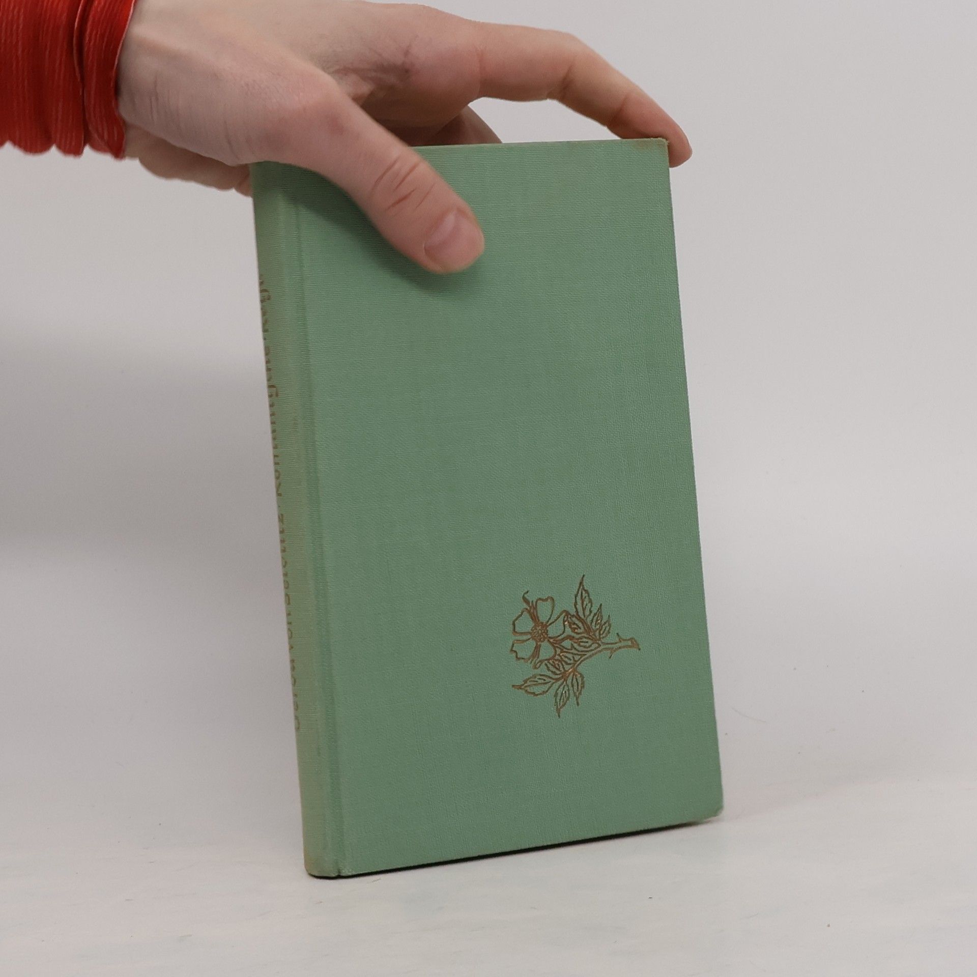 Gerda von Seidlitz Romantische Reise