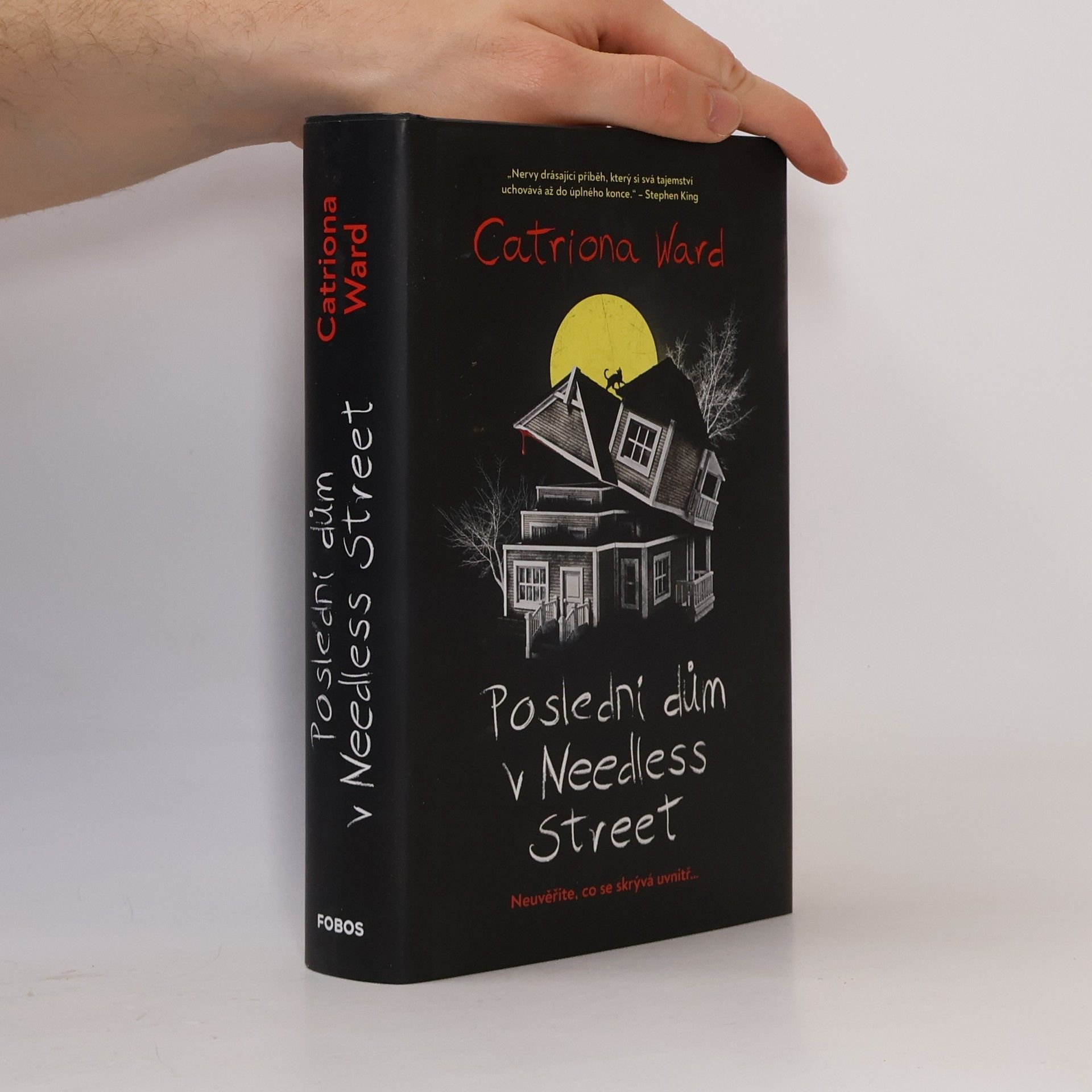 Catriona Ward Poslední dům v Needless Street