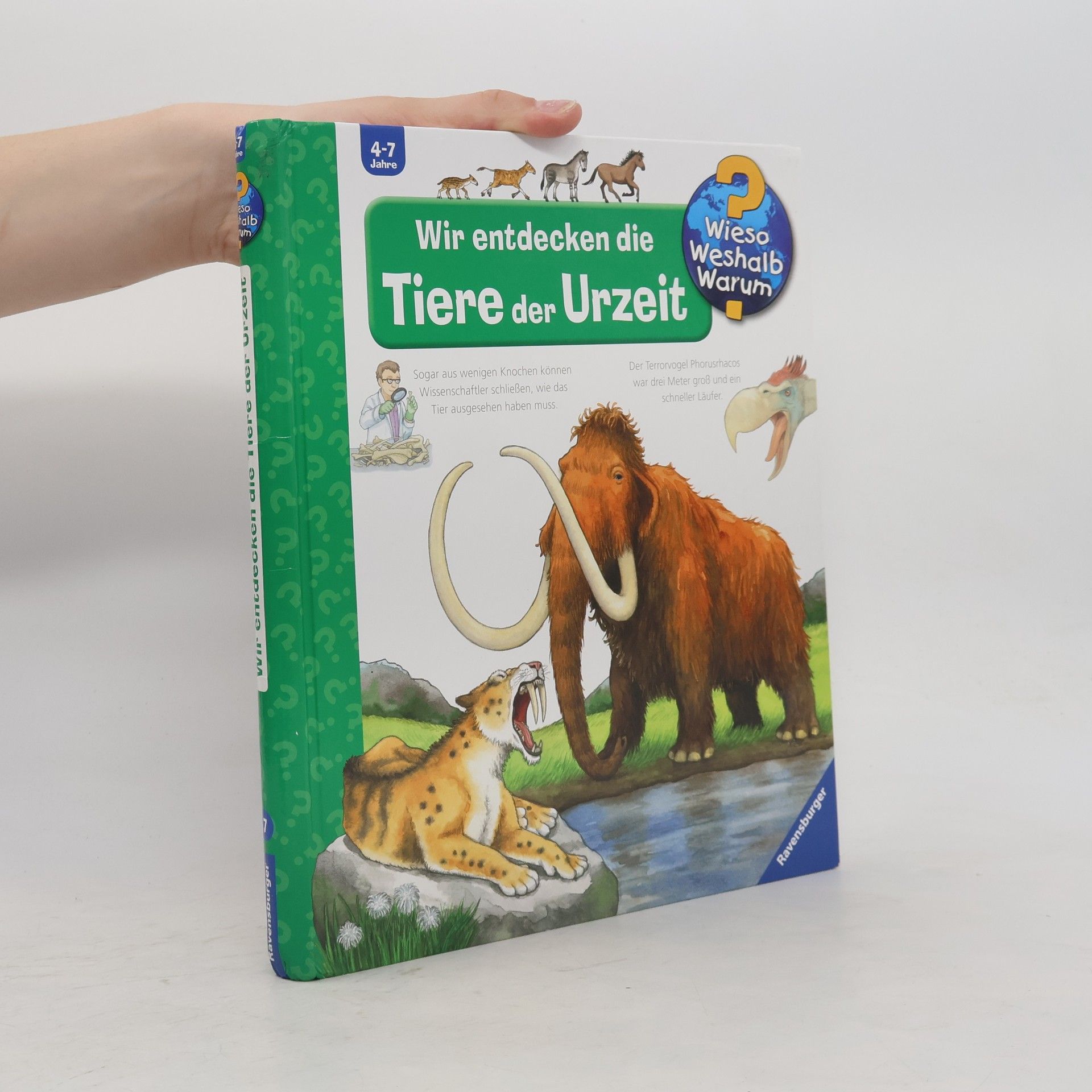 Wir entdecken die Tiere der Urzeit