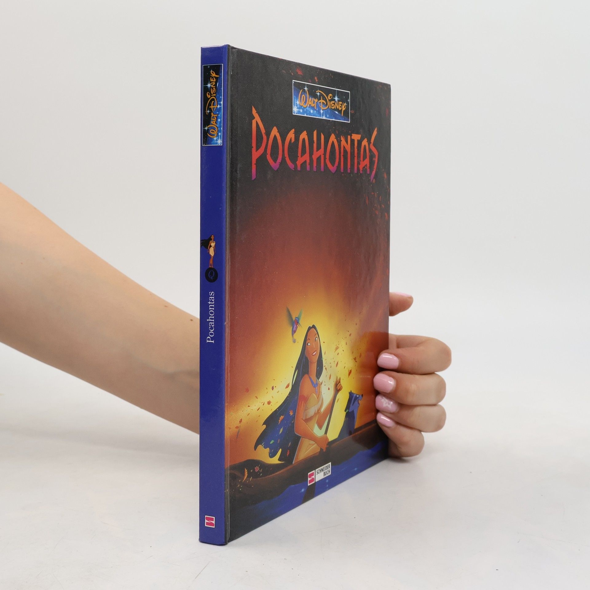 Autorenkollektiv Pocahontas