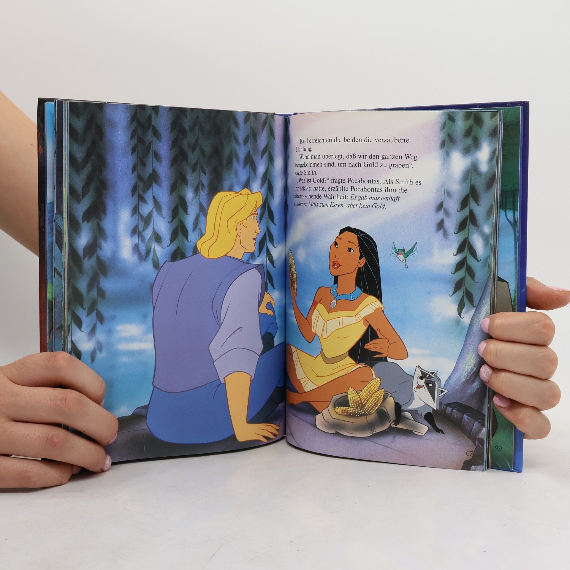 Autorenkollektiv Pocahontas