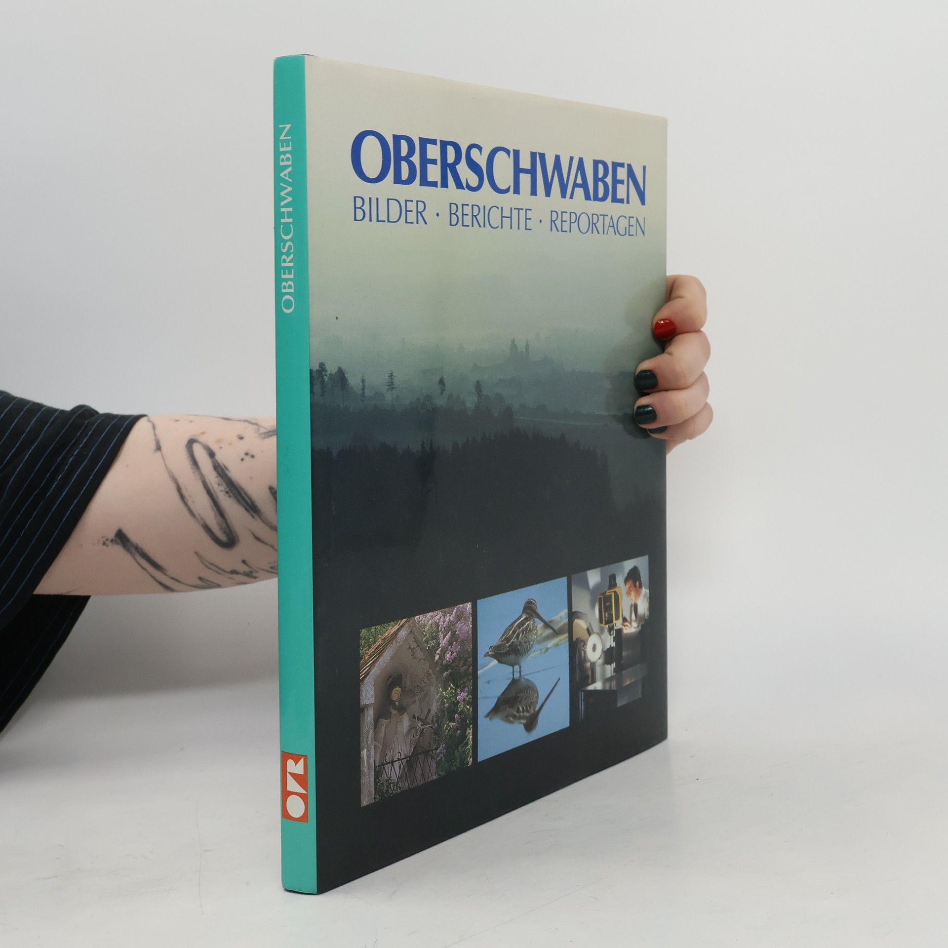 Rudi Holzberger Oberschwaben