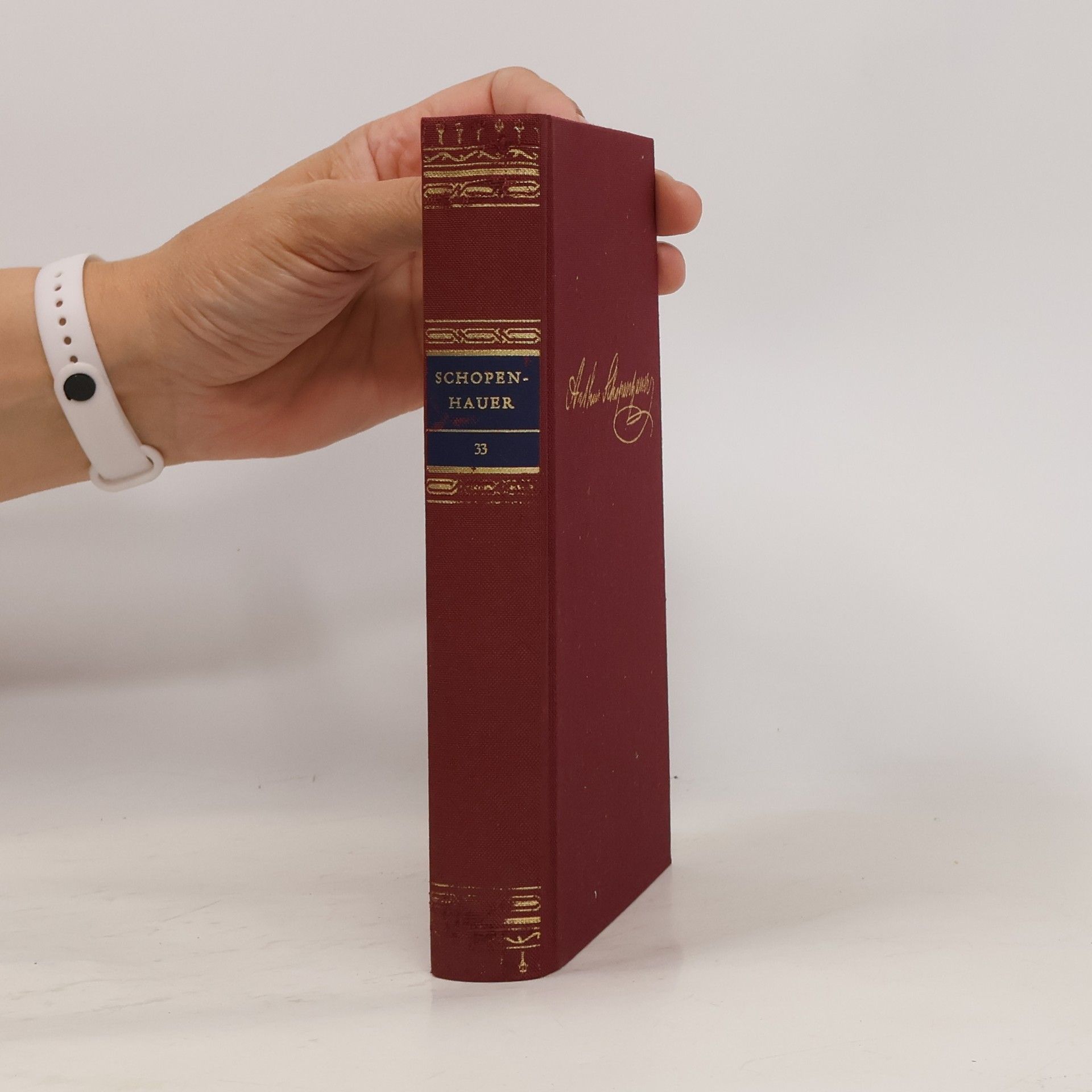 Autorenkollektiv Schopenhauer 33