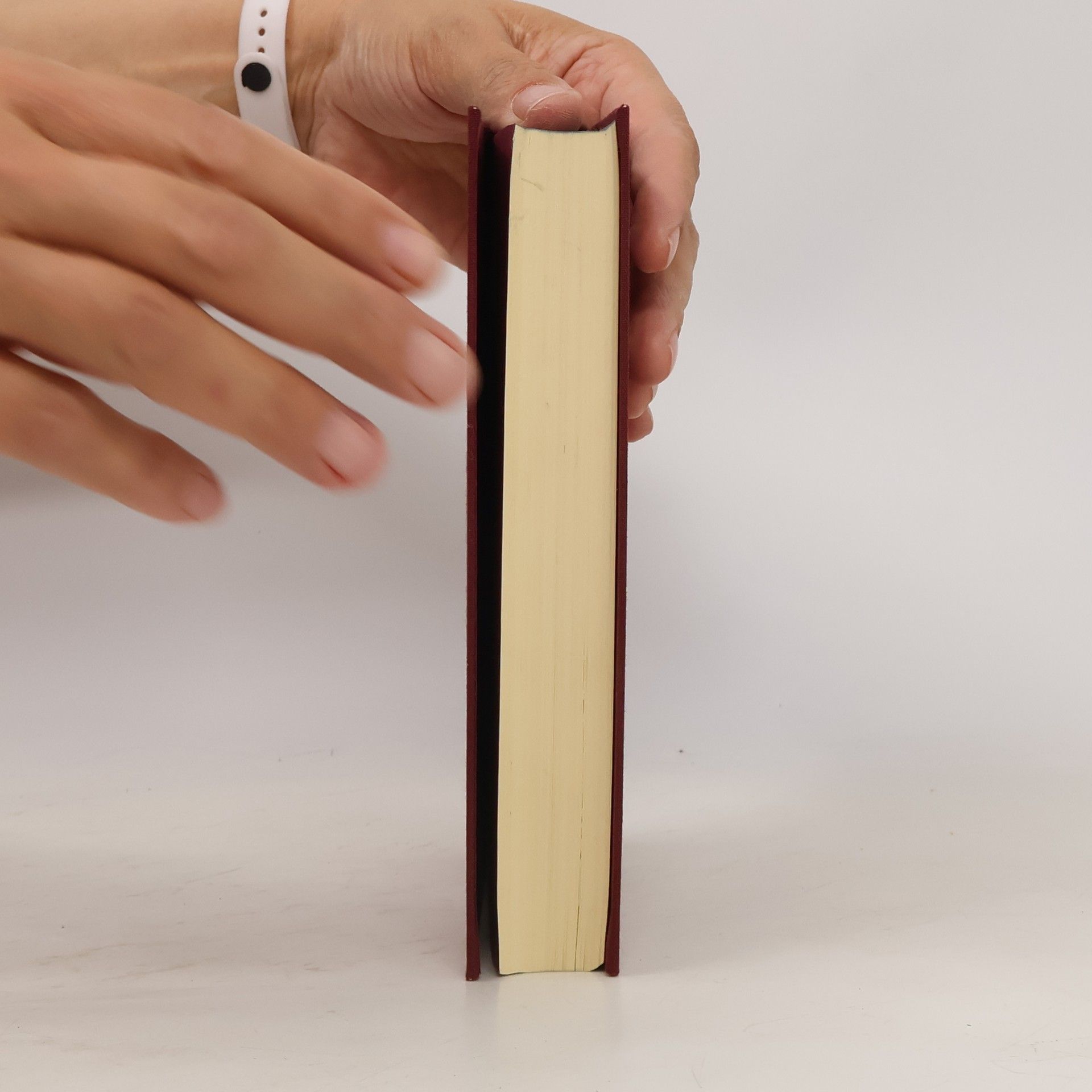 Autorenkollektiv Schopenhauer 33