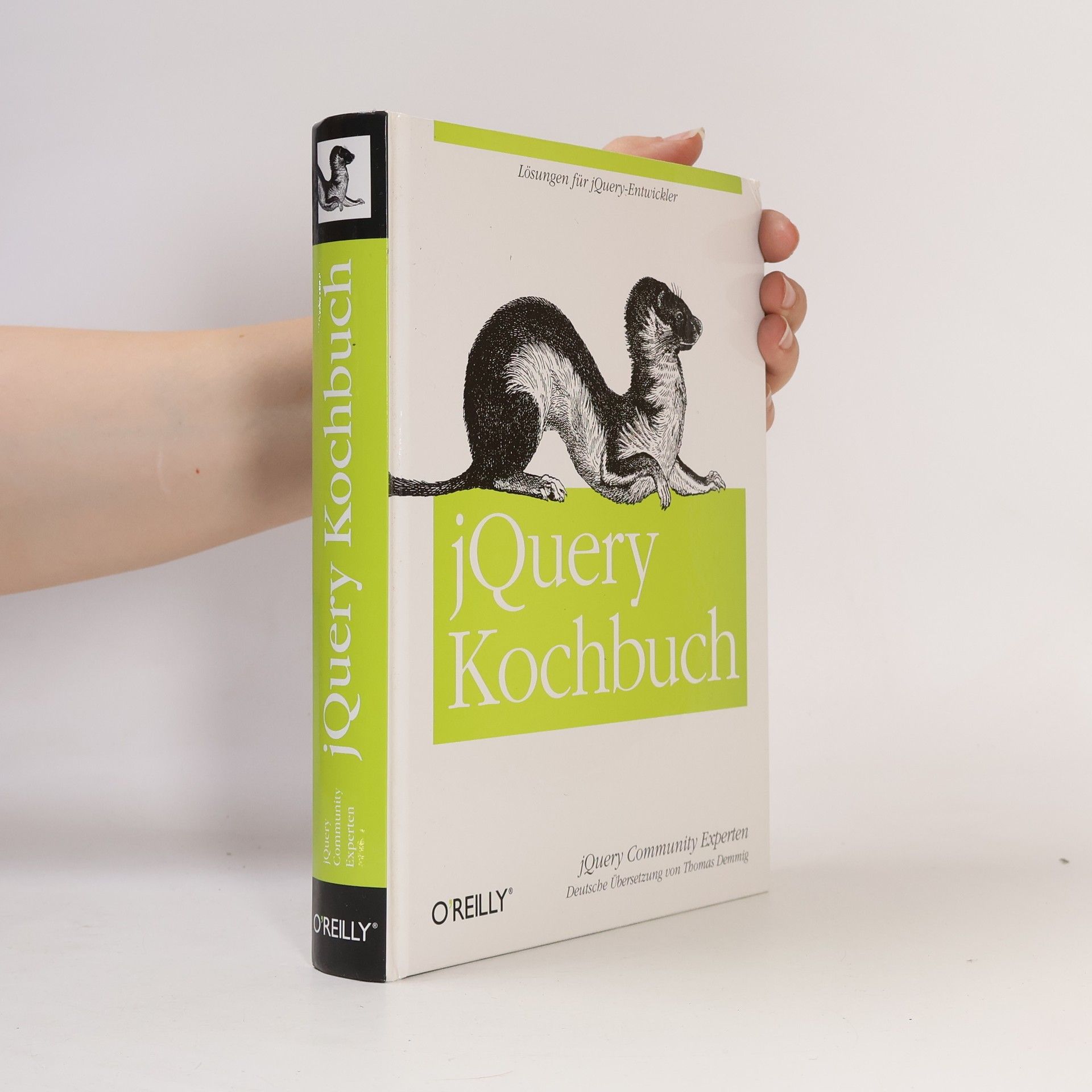Thomas Demming jQuery-Kochbuch