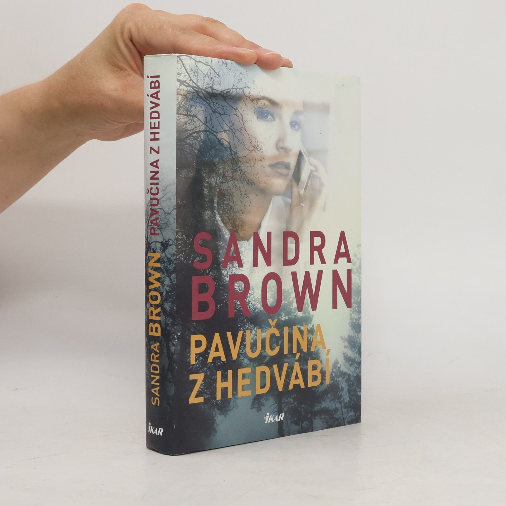 Sandra Brown Pavučina z hedvábí