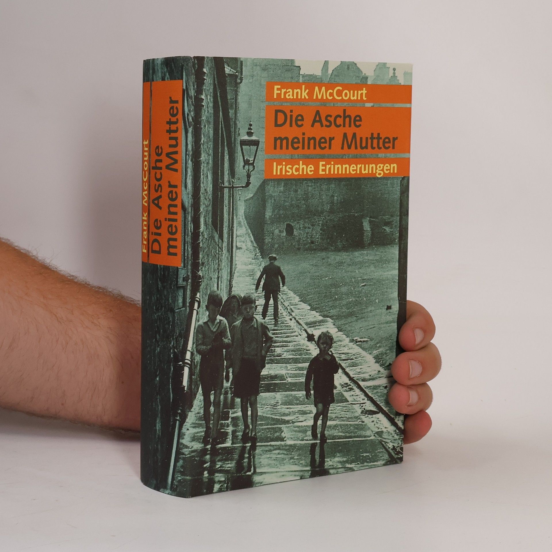 Frank McCourt Die Asche meiner Mutter