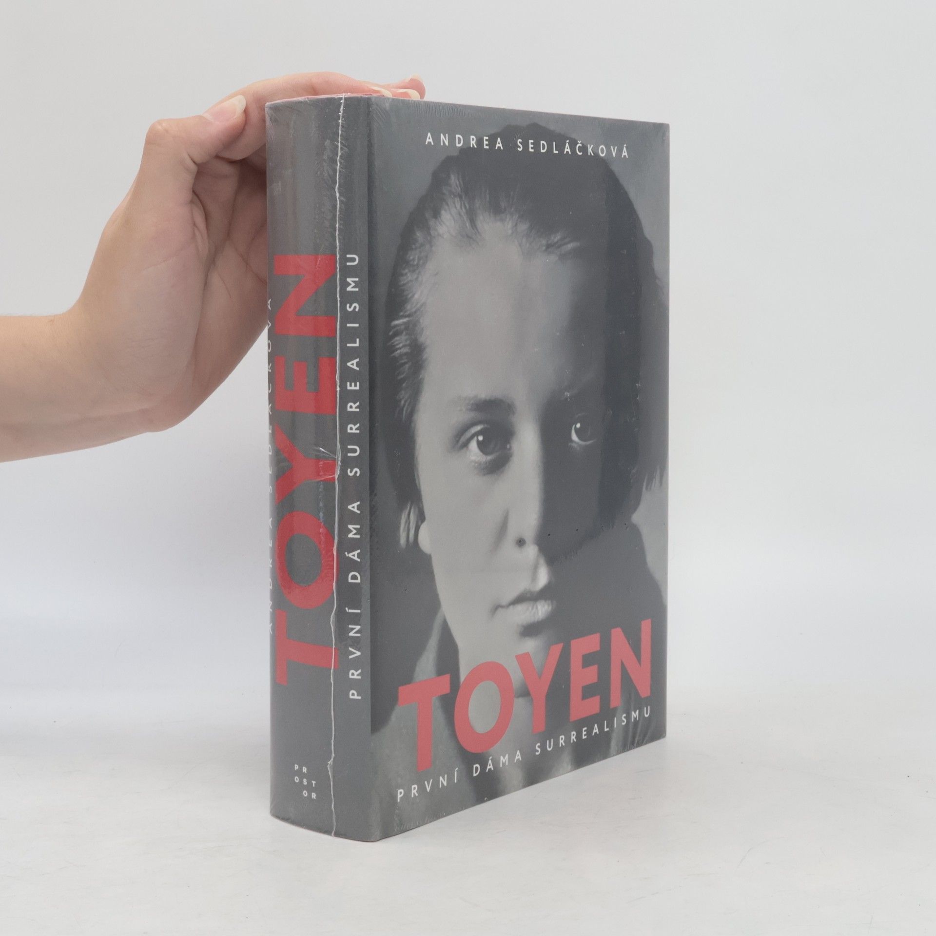 Andrea Sedláčková Toyen: první dáma surrealismu