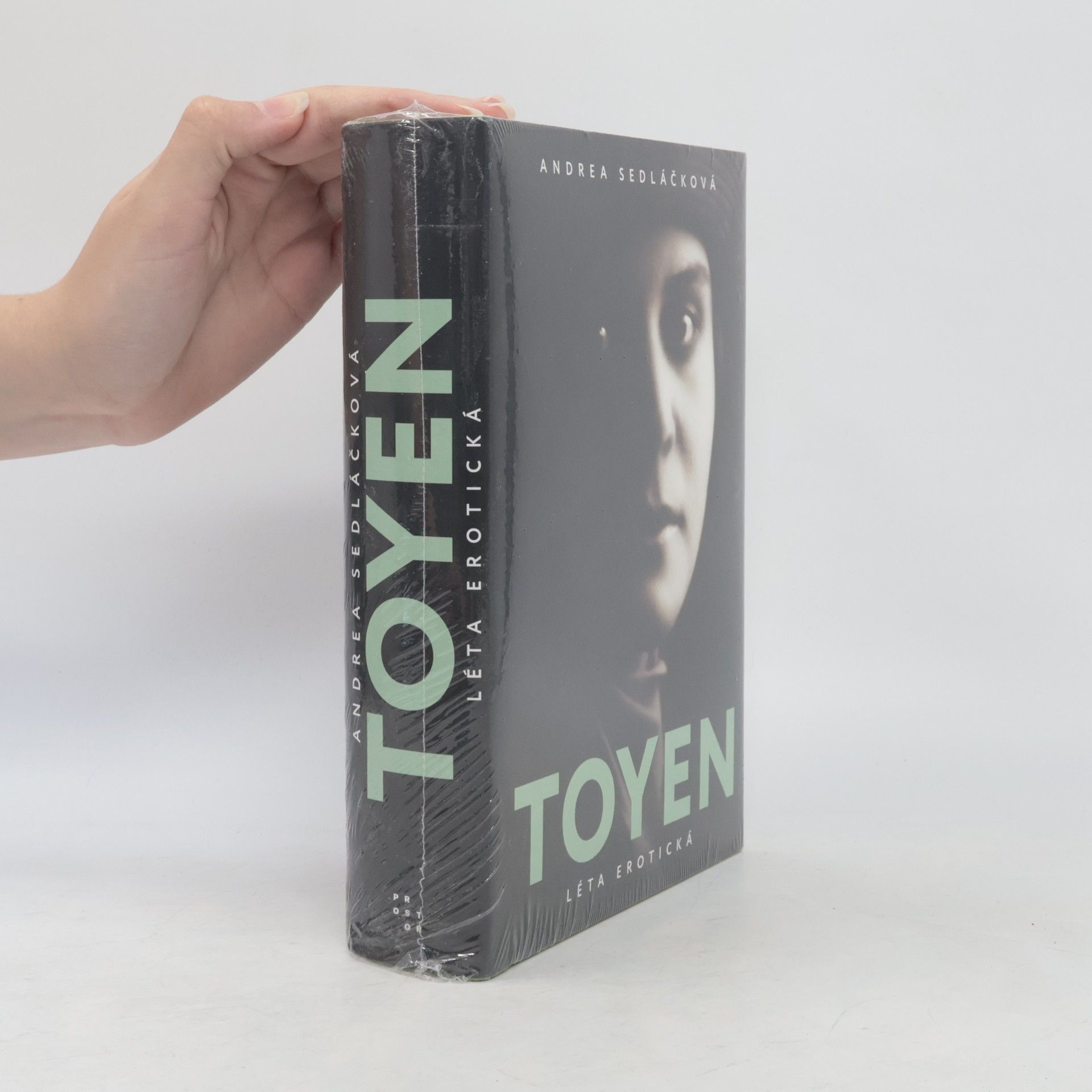 Toyen: Léta erotická