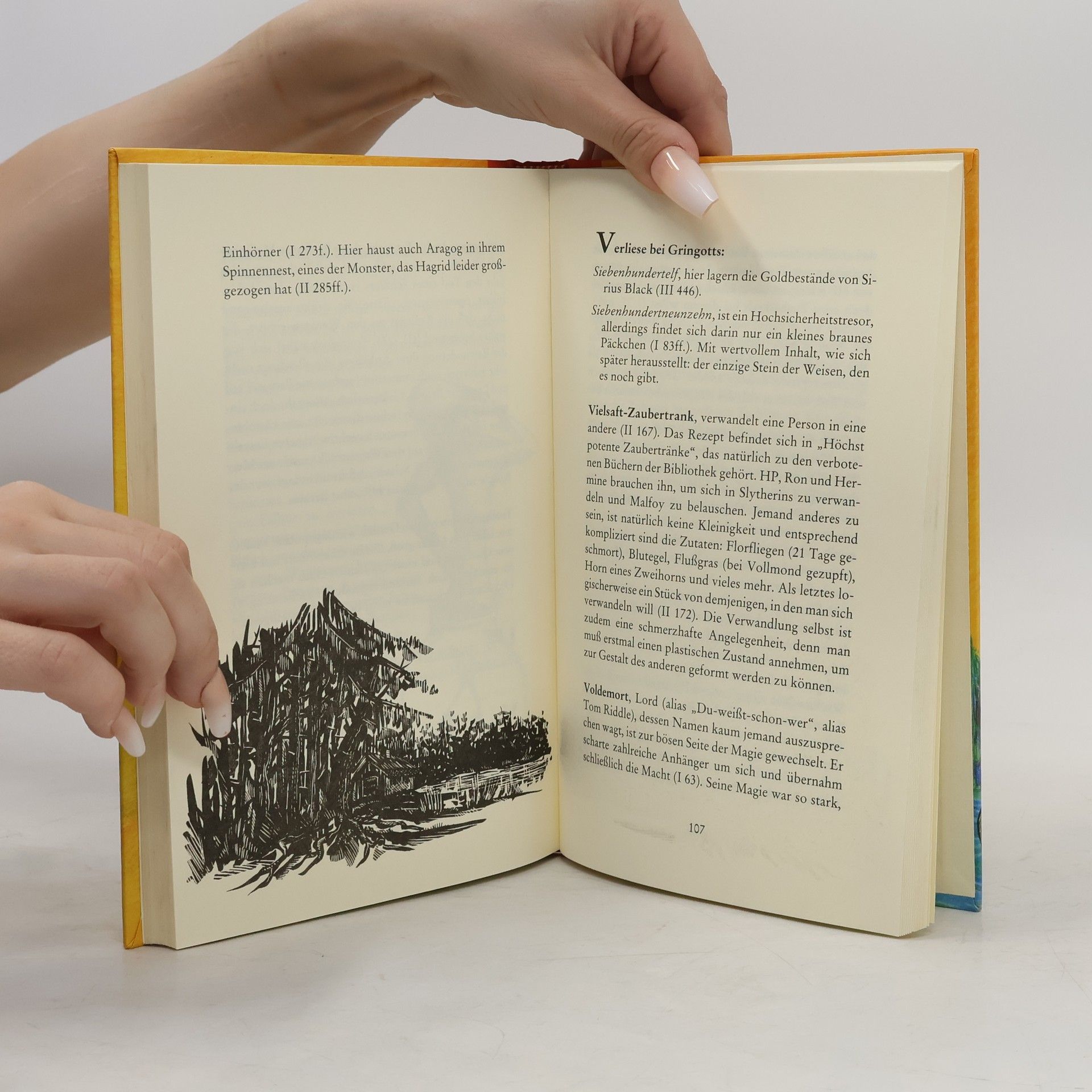 Falk N. Stein Von Alraune bis Zentaur : ein Harry Potter Lexikon