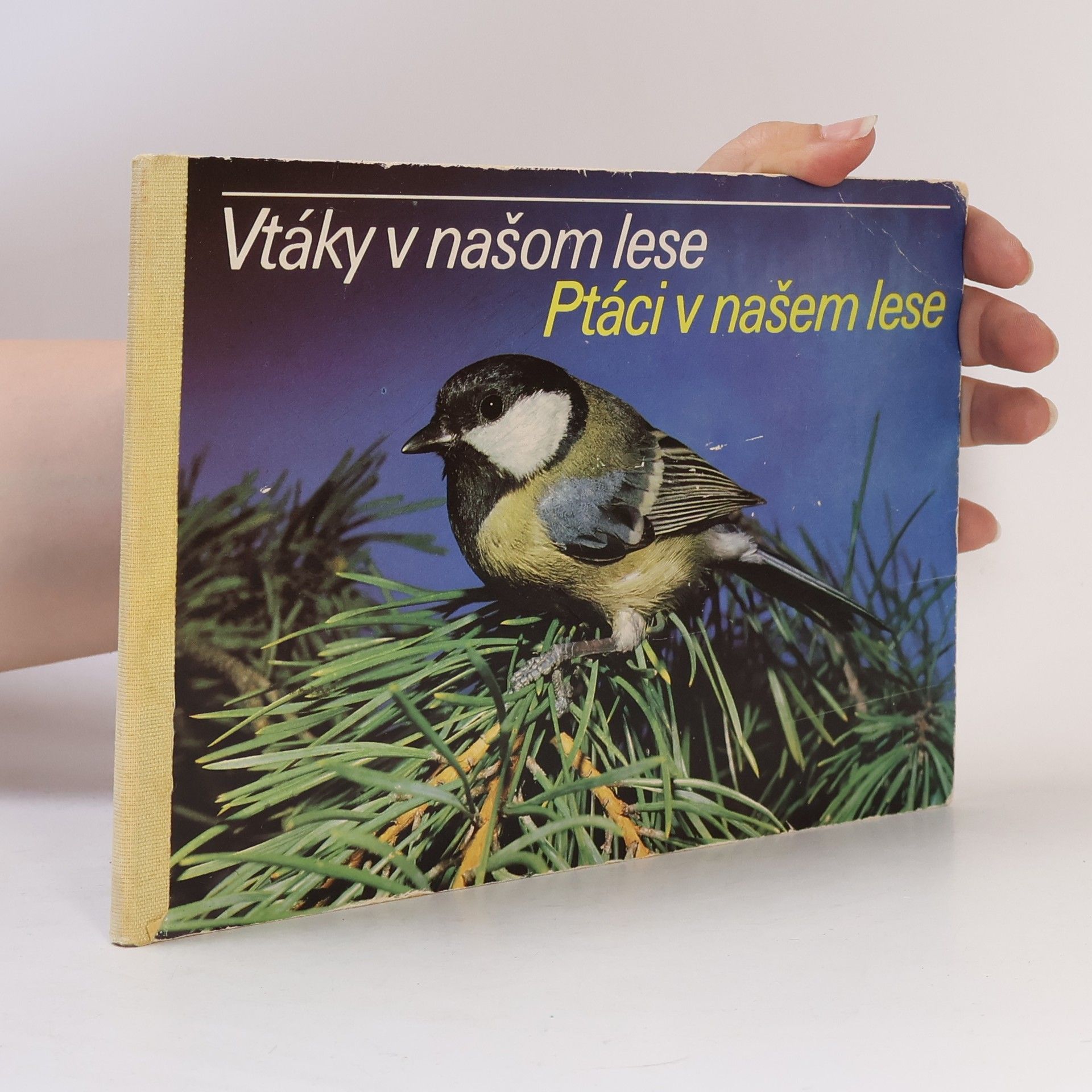 Autorenkollektiv Vtáky v našom lese. Ptáci v našem lese