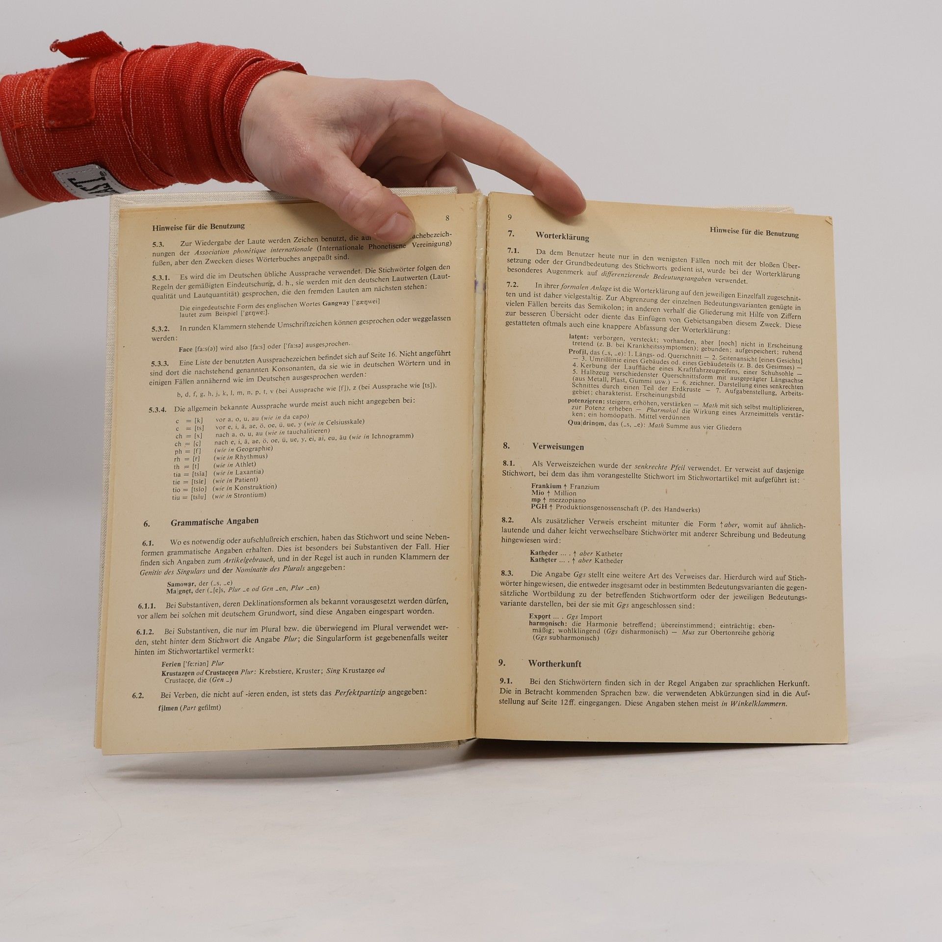 Ruth Küfner Grosses Fremdwörterbuch
