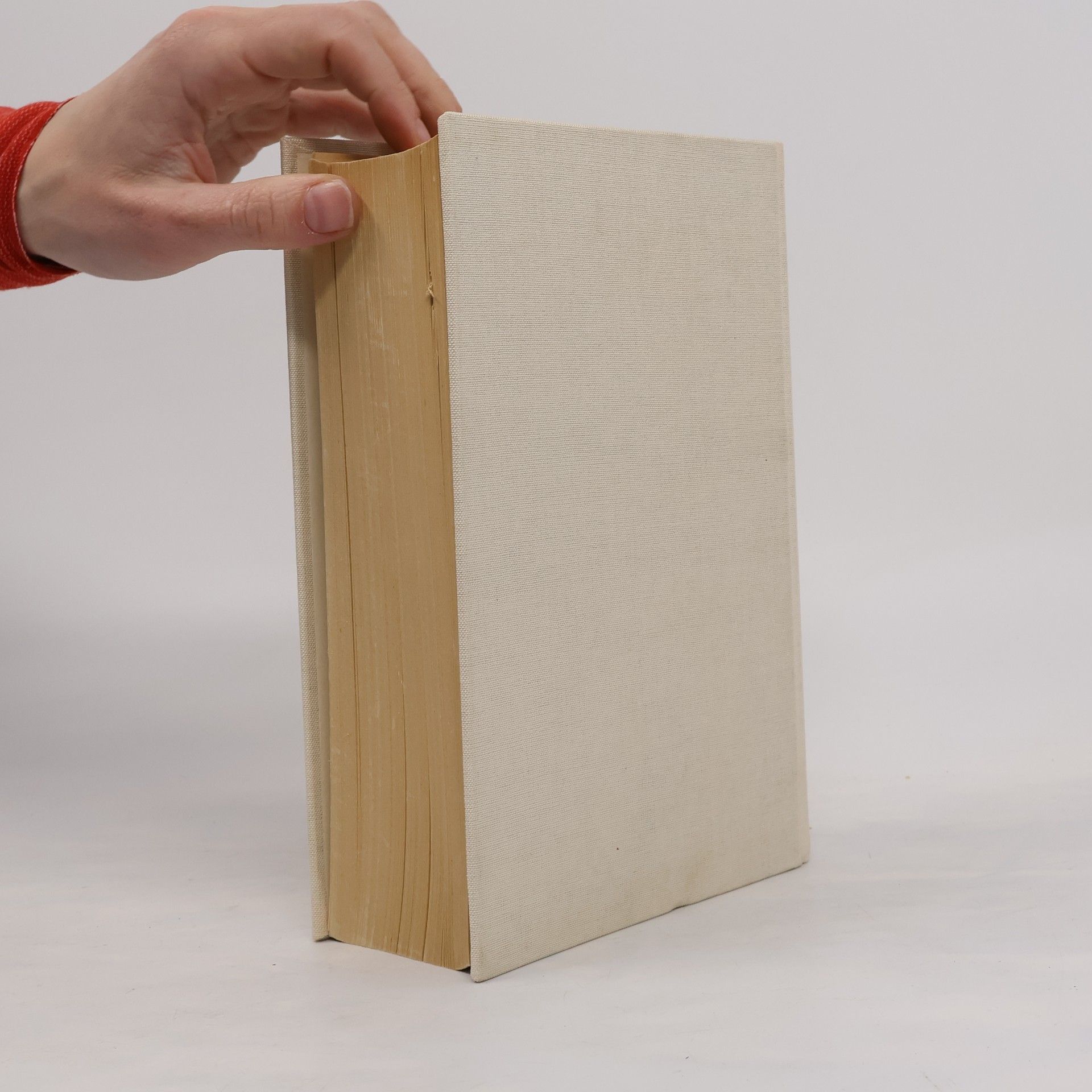 Ruth Küfner Grosses Fremdwörterbuch