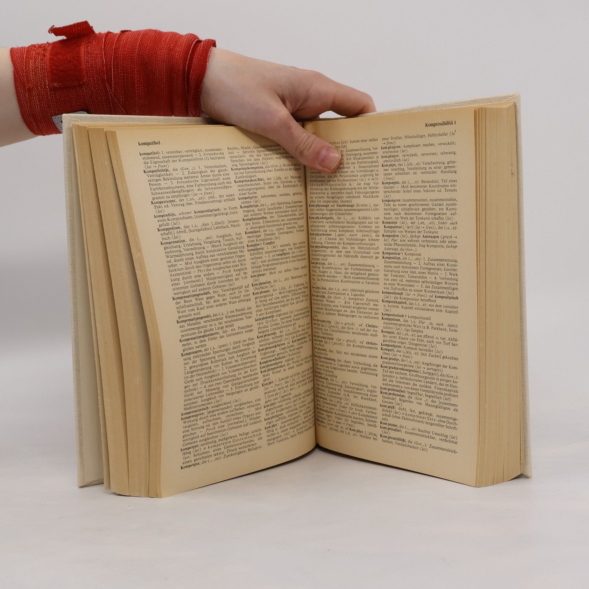 Ruth Küfner Grosses Fremdwörterbuch