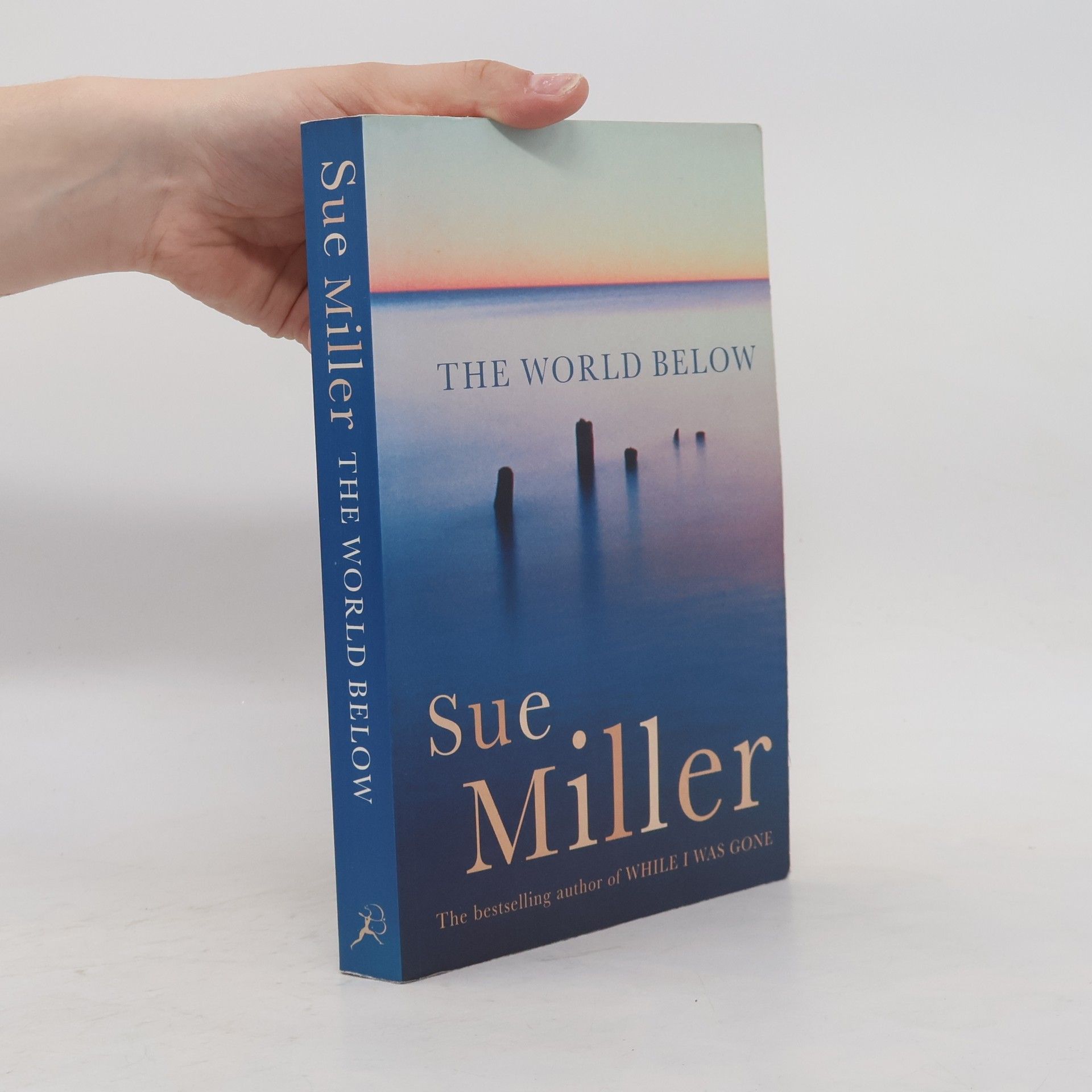Sue Miller The World Below