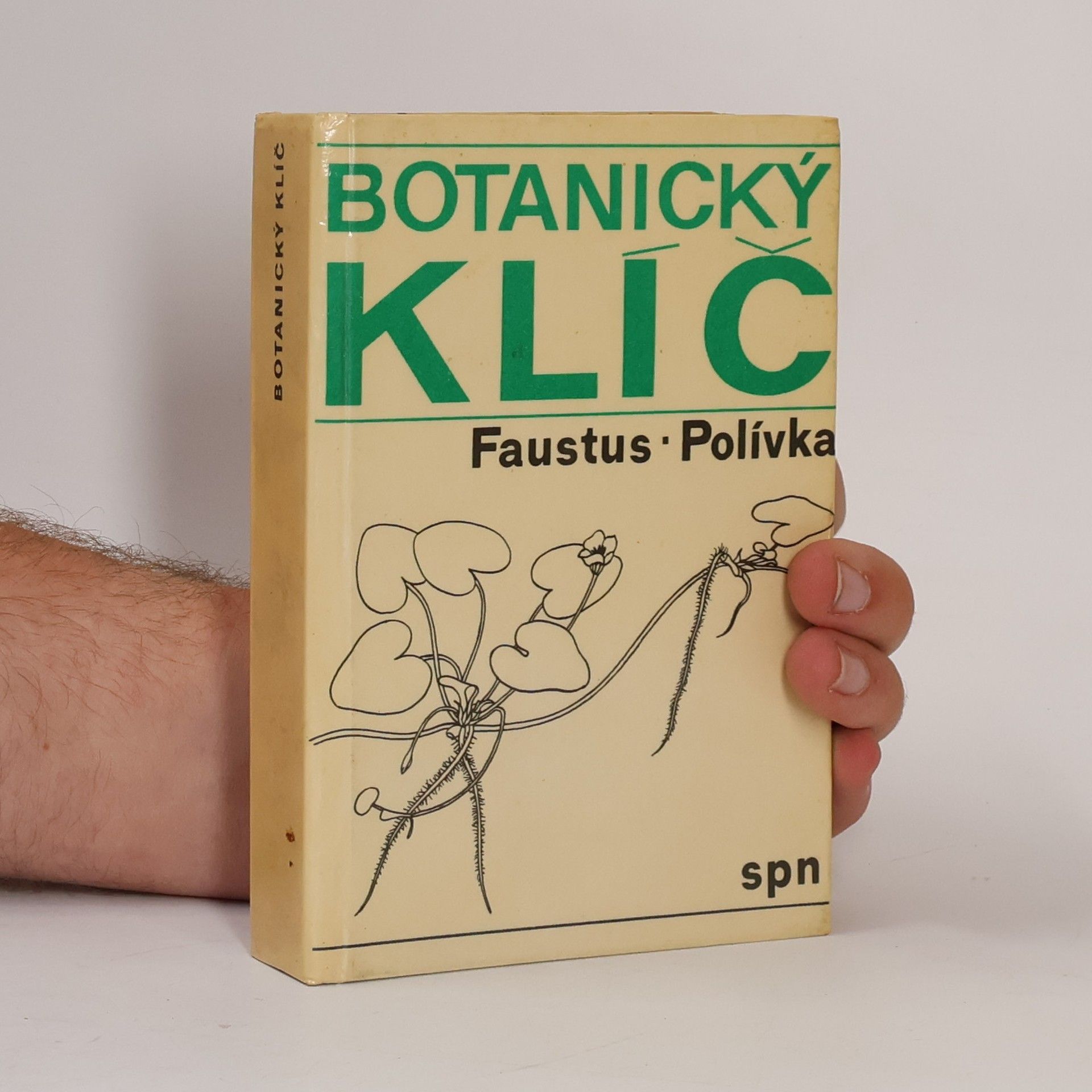 Luděk Faustus Botanický klíč