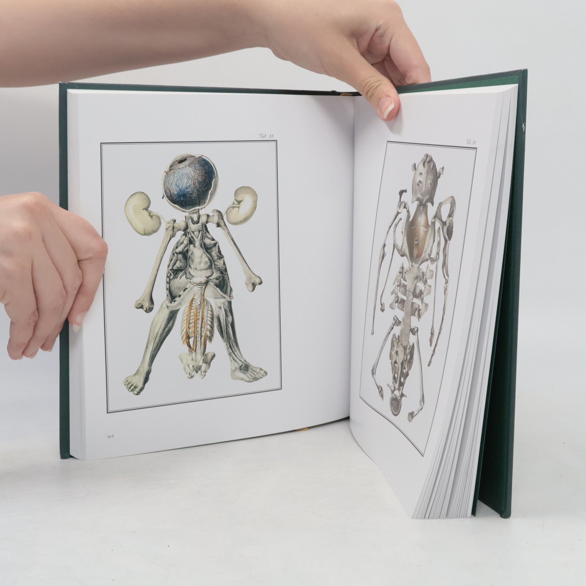 Jan Švankmajer Švank-mayers Bilderlexikon