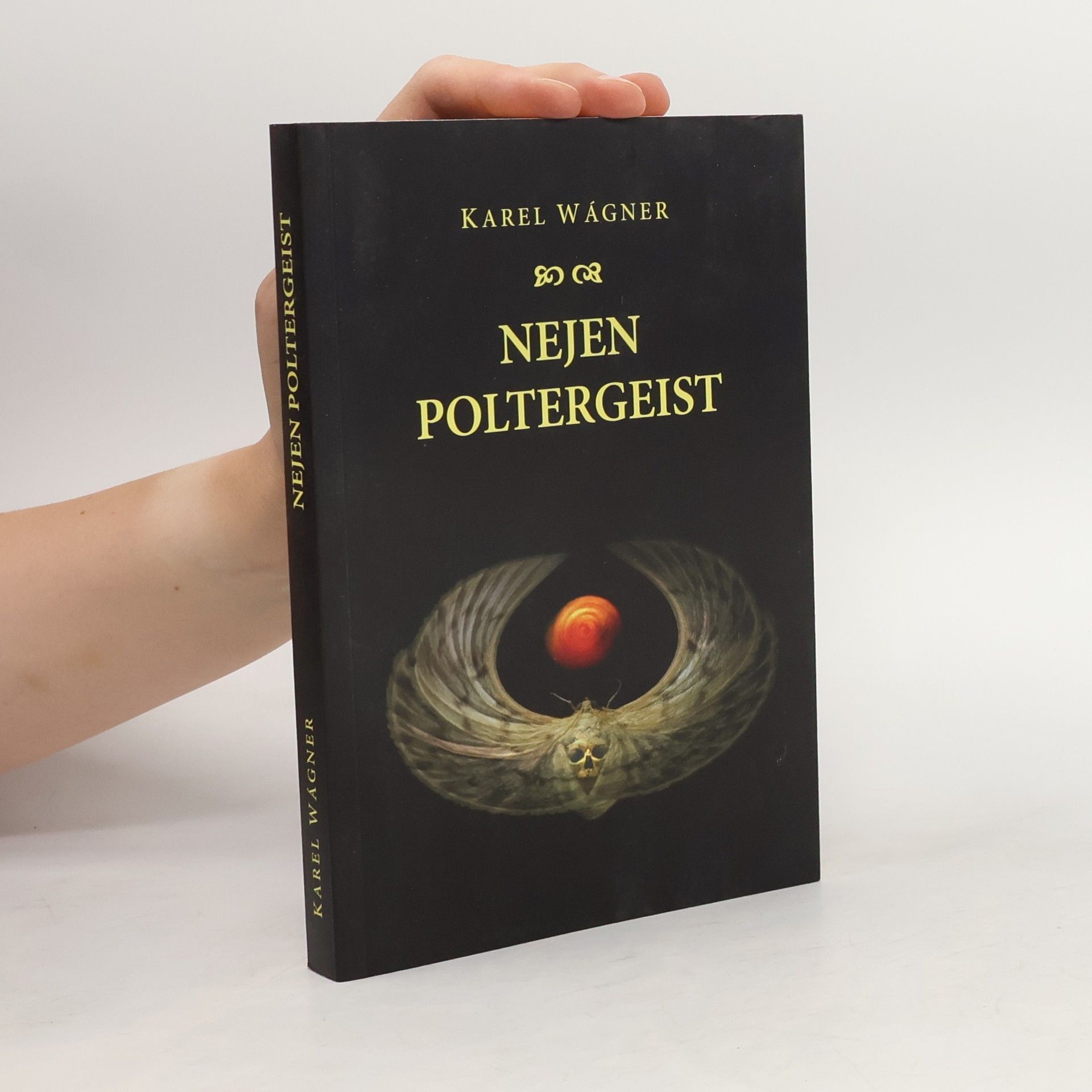 Nejen poltergeist