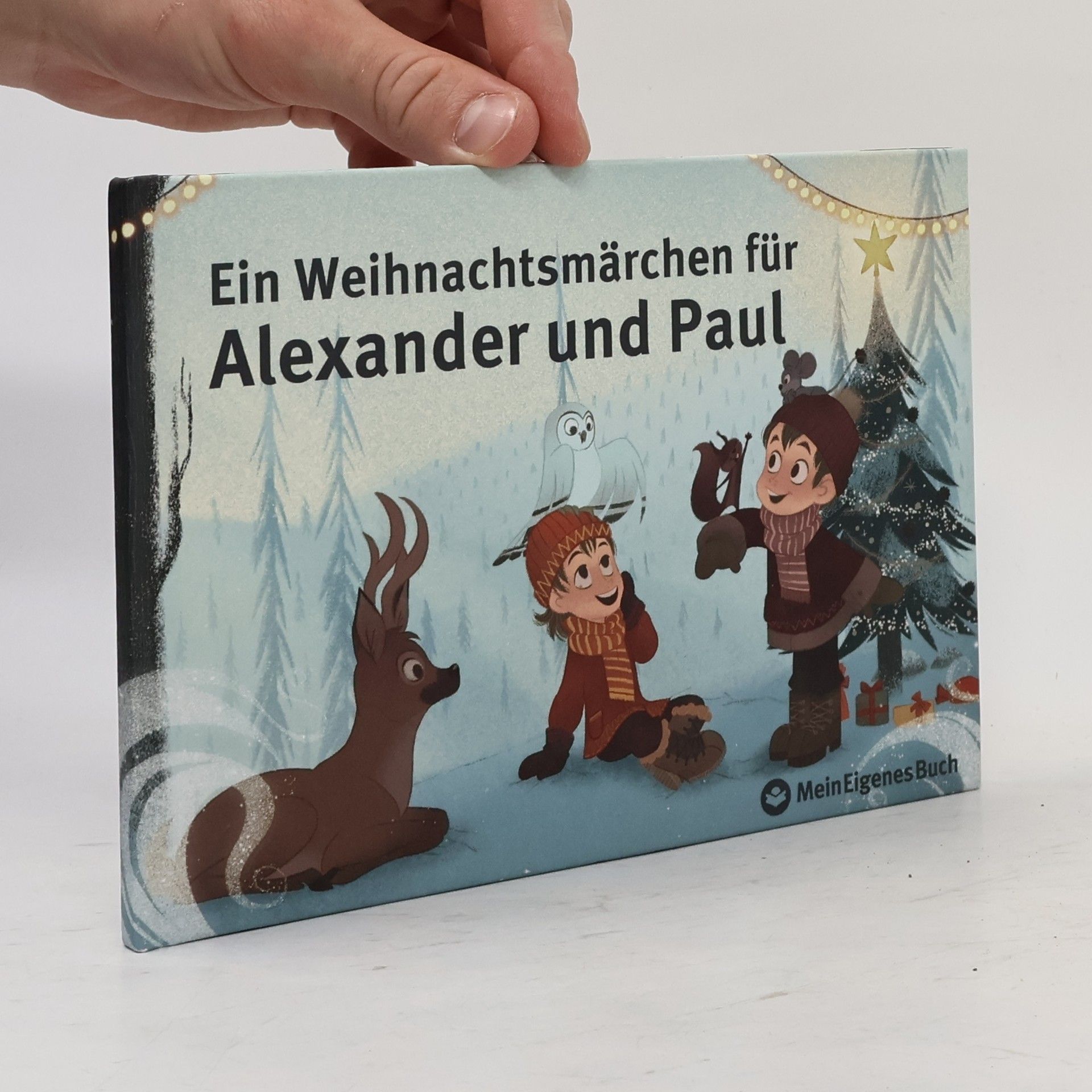 Autorenkollektiv Ein Weihnachtsmärchen für Alexander und Paul