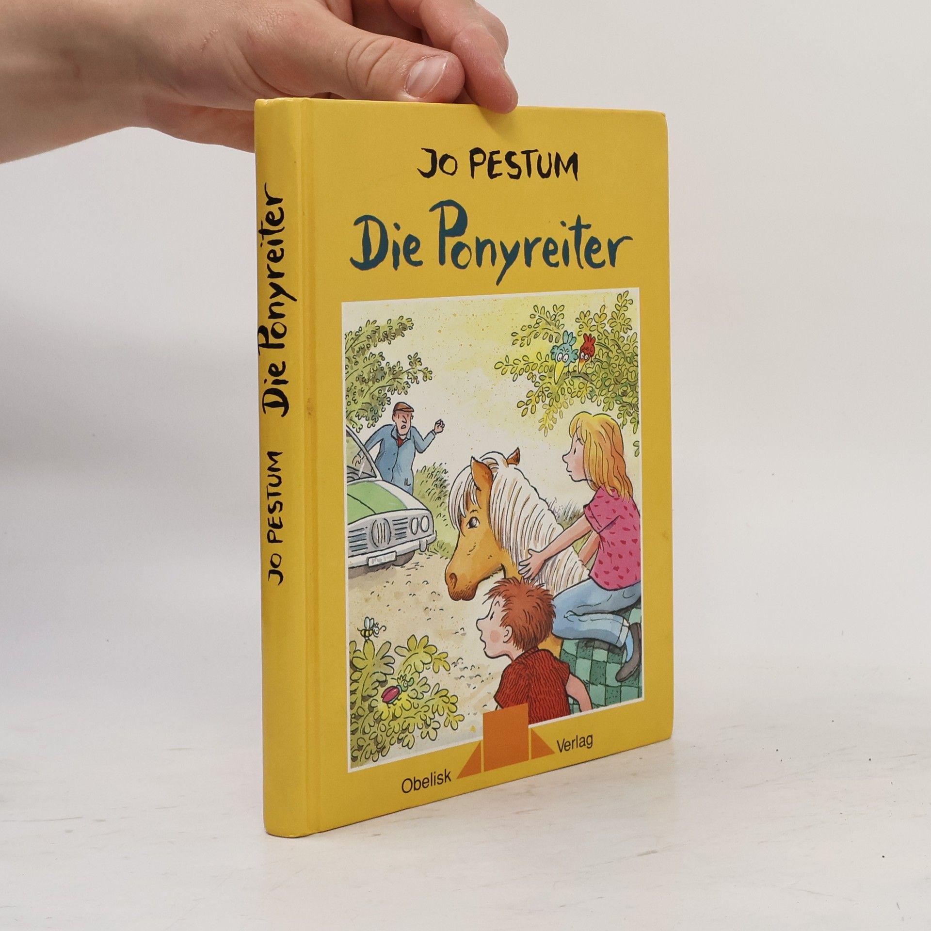 Jo Pestum Die Ponyreiter