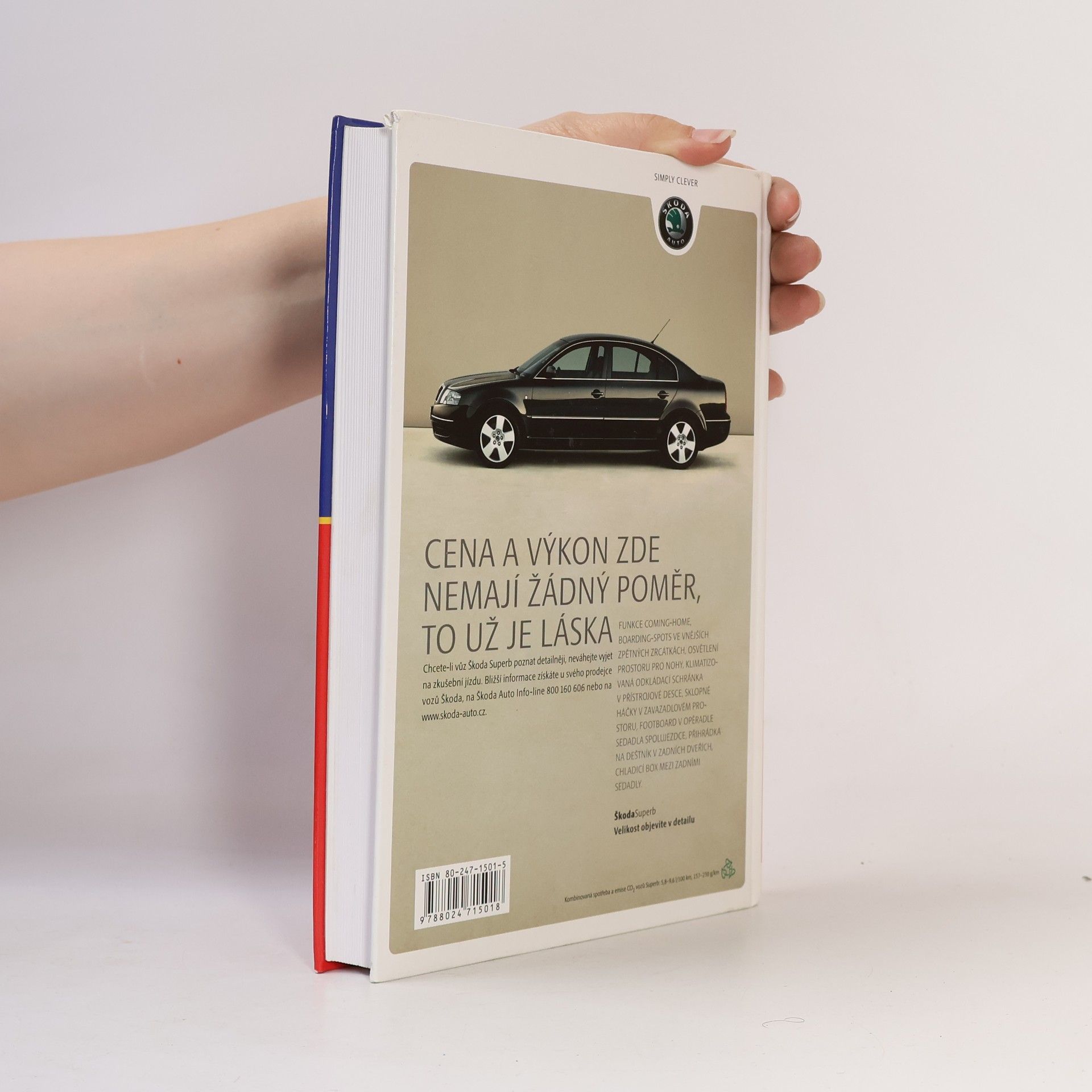 Alena Svozilová Projektový management