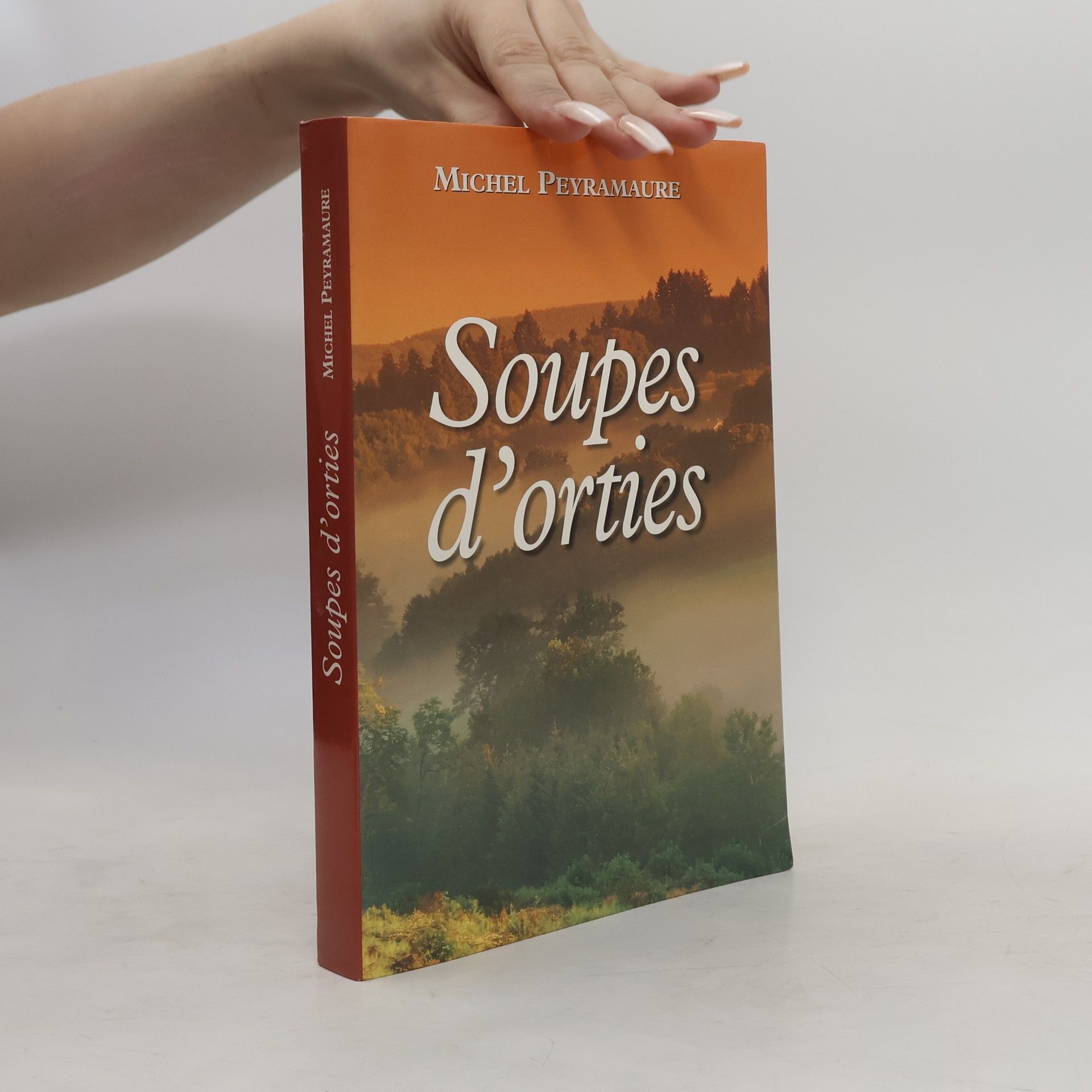 Michel Peyramaure Soupes d'orties