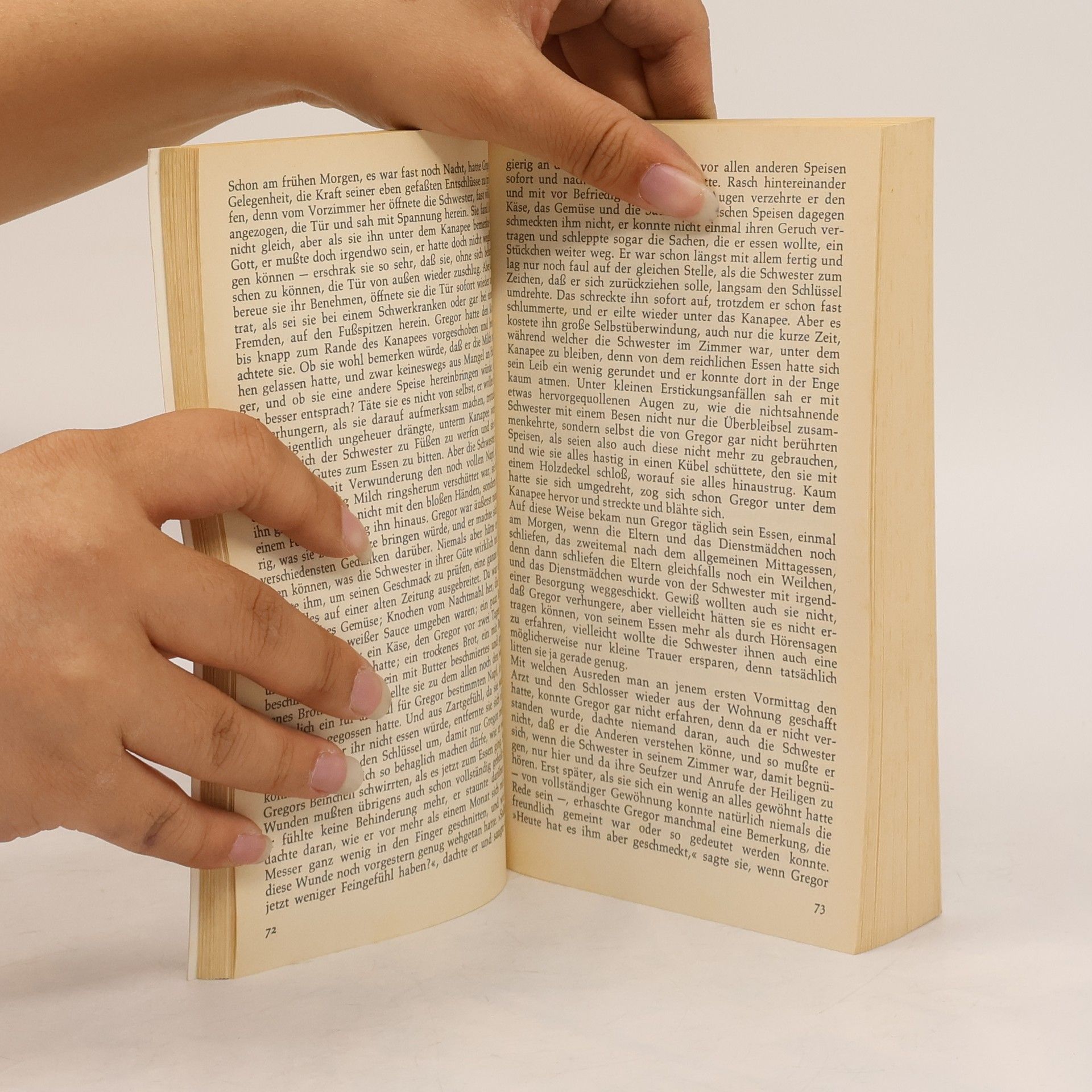 Franz Kafka Sämtliche Erzählungen