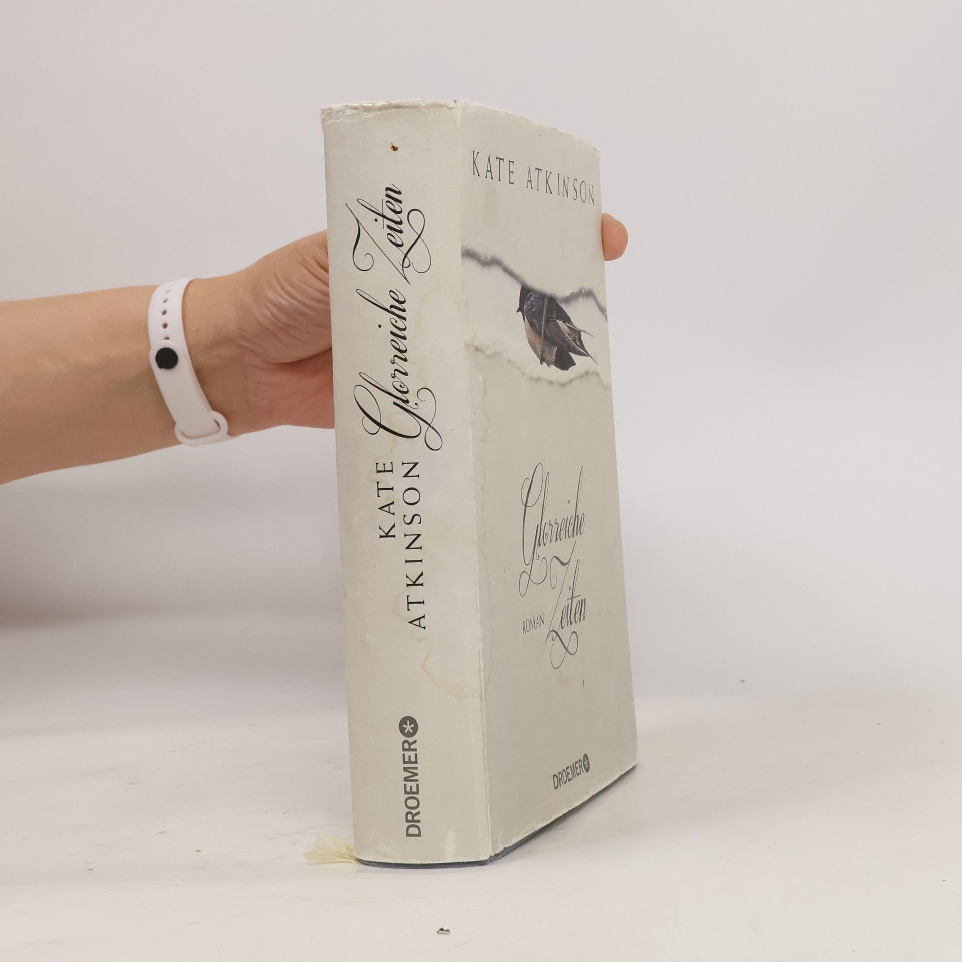 Kate Atkinson Glorreiche Zeiten