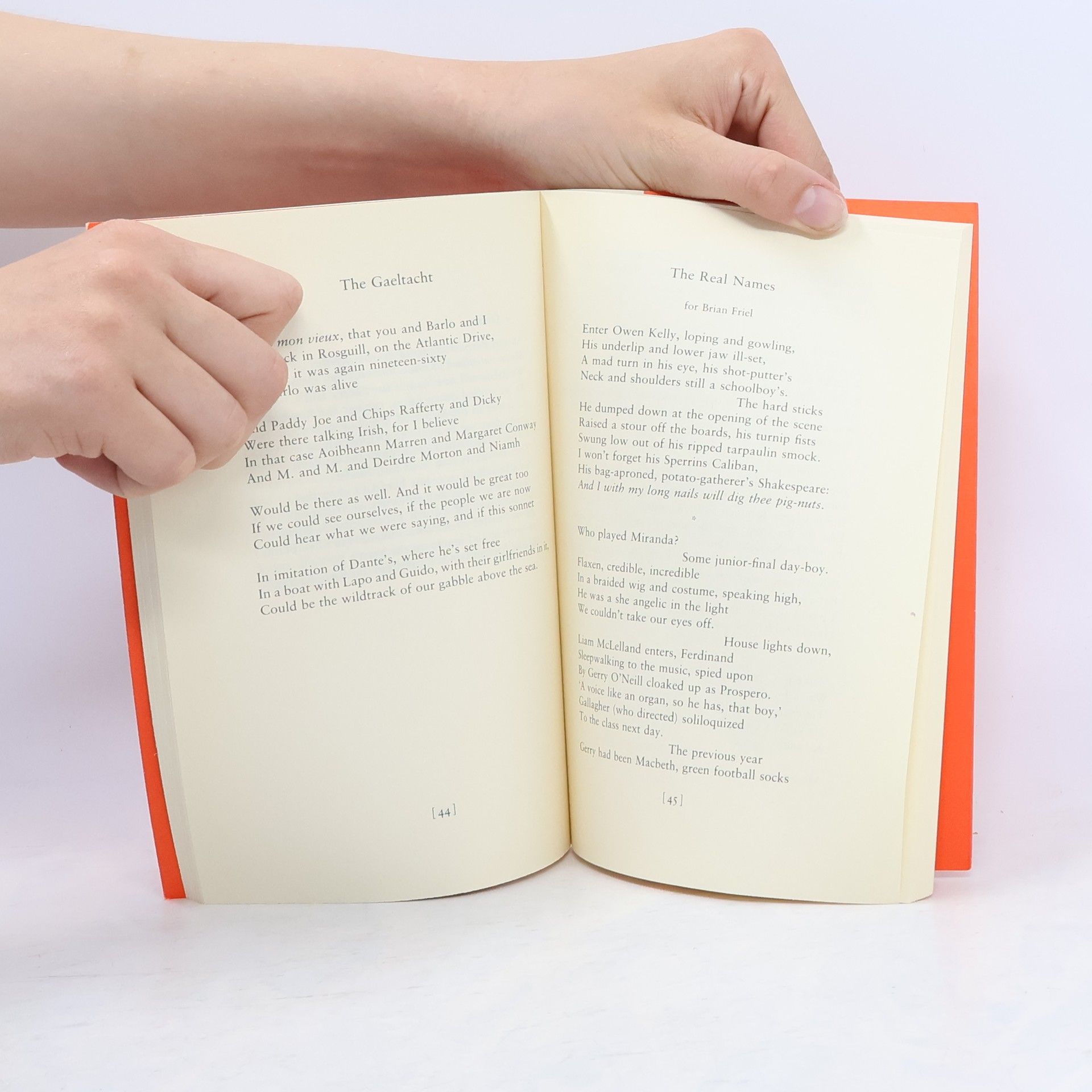 Seamus Heaney Electric Light