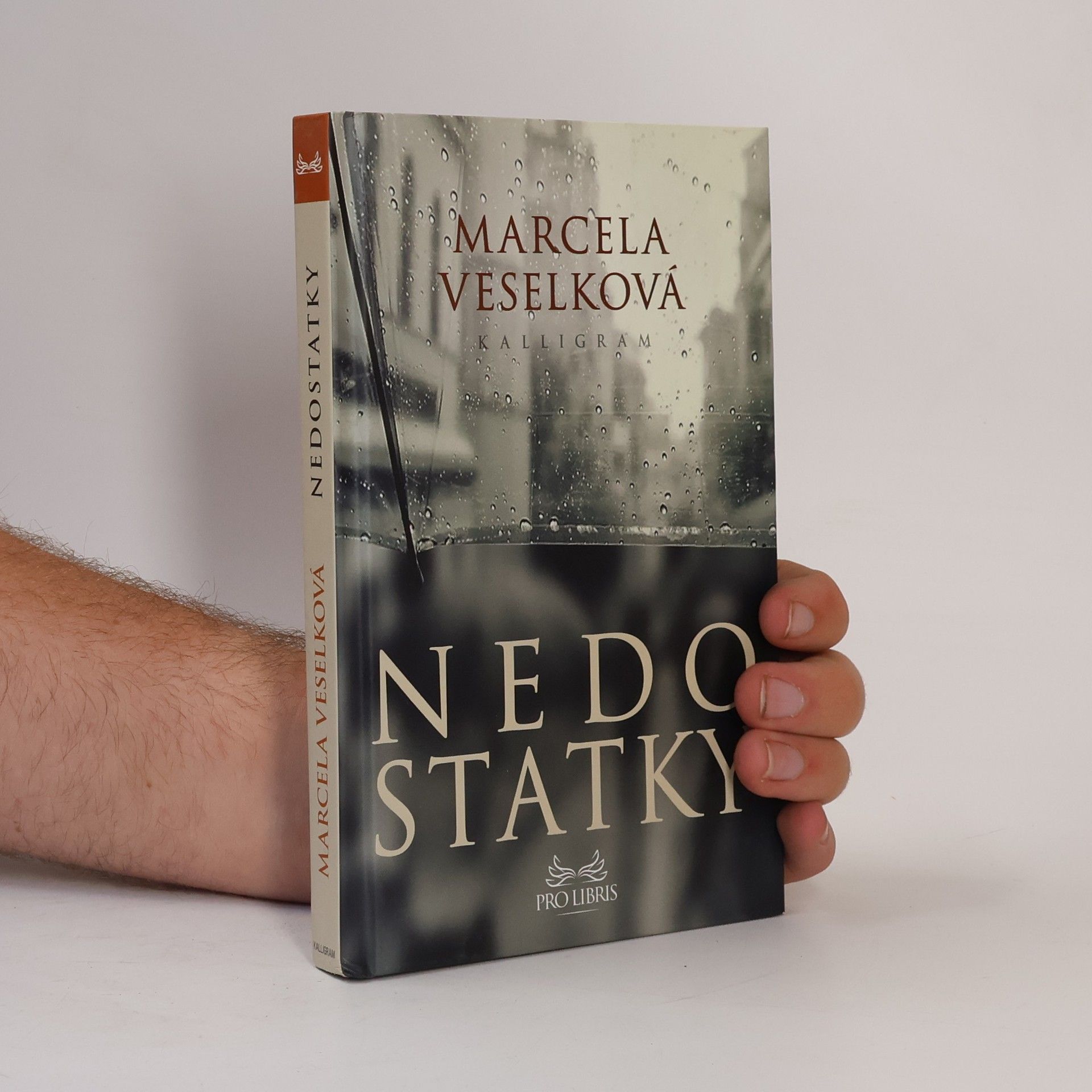 Marcela Veselková Nedostatky