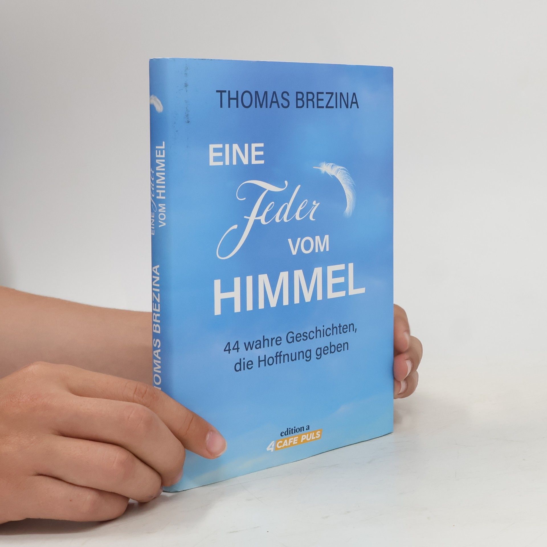 Eine Feder vom Himmel