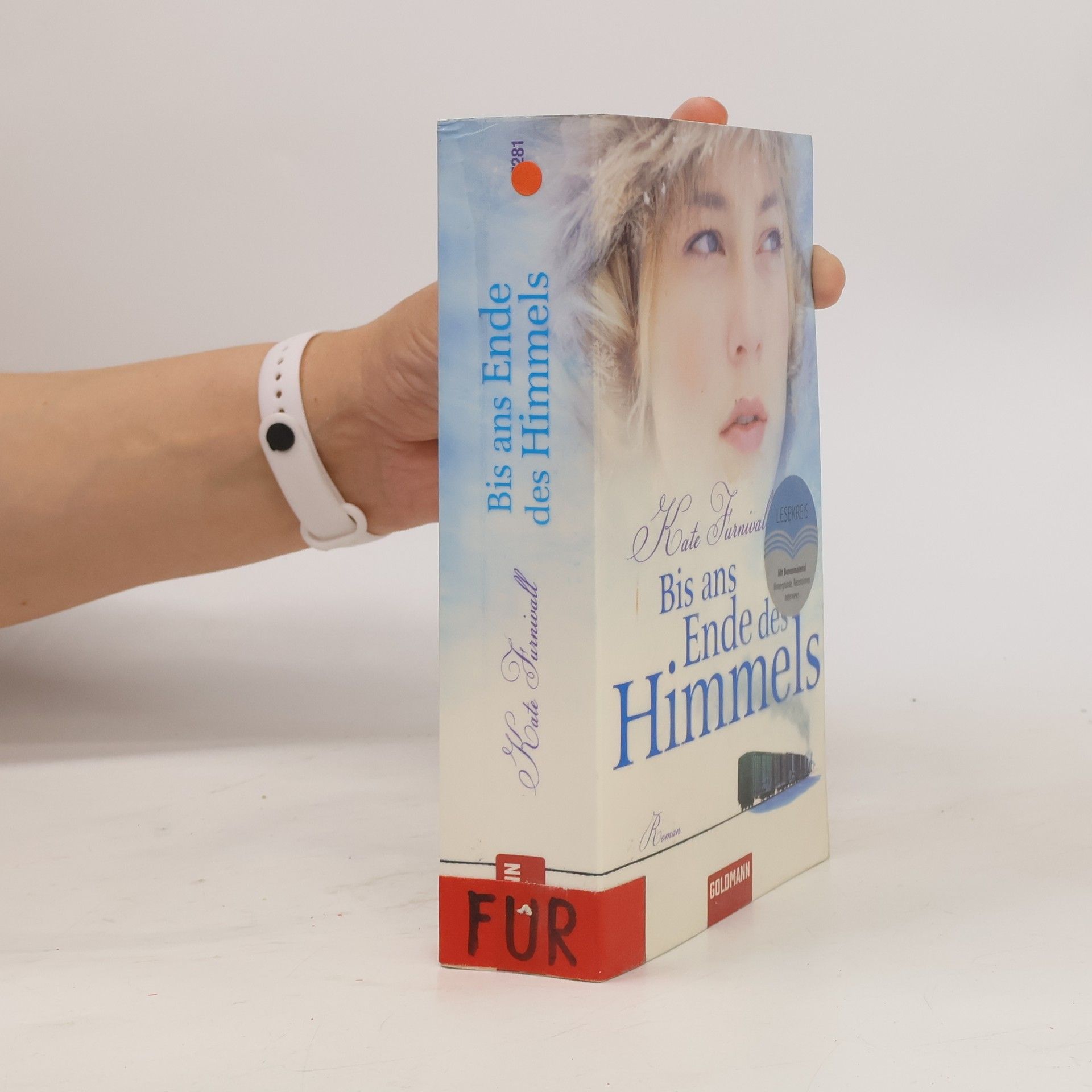 Kate Furnivall Bis ans Ende des Himmels